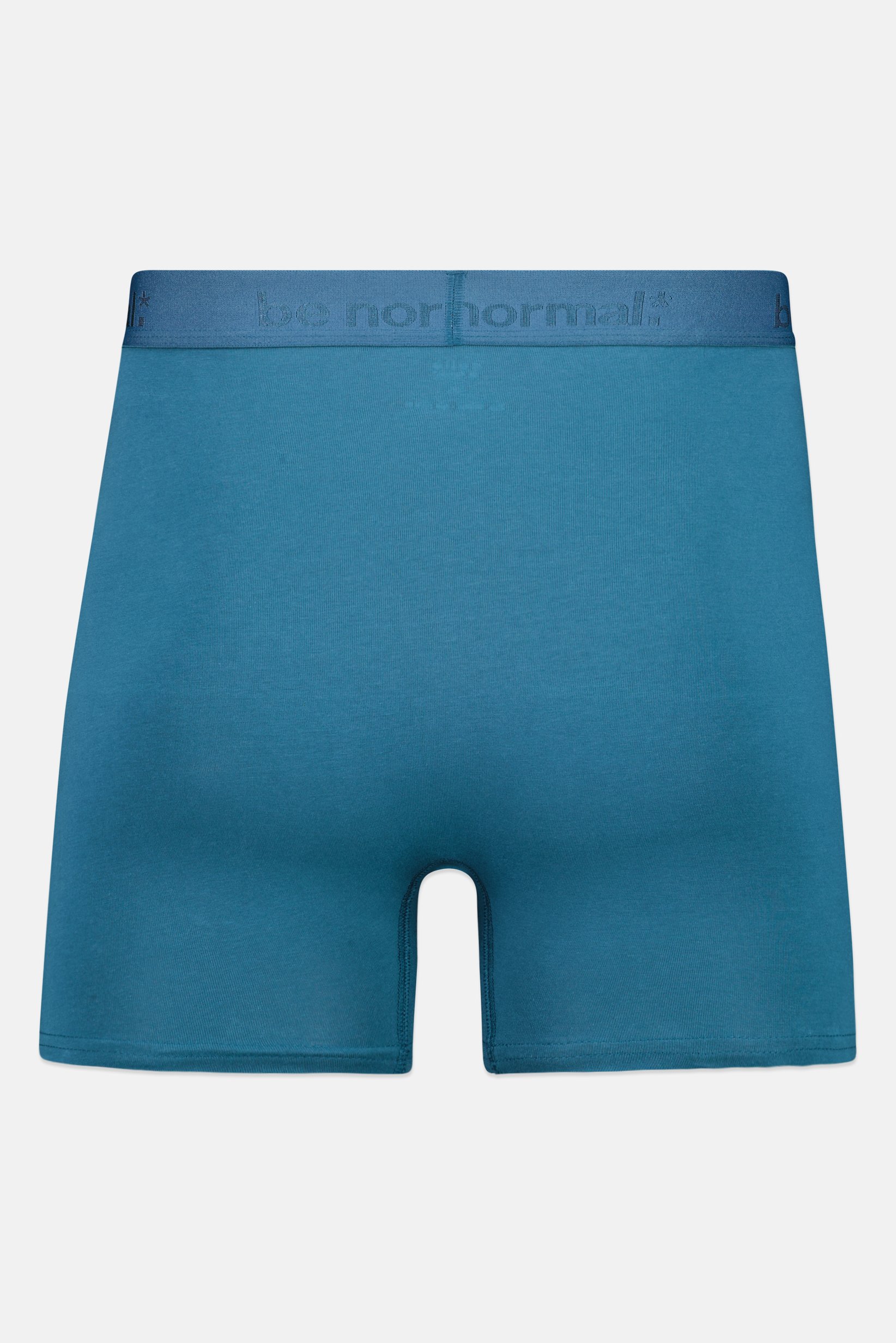 Men Brand Logo Boxer Brief, Teal Blue