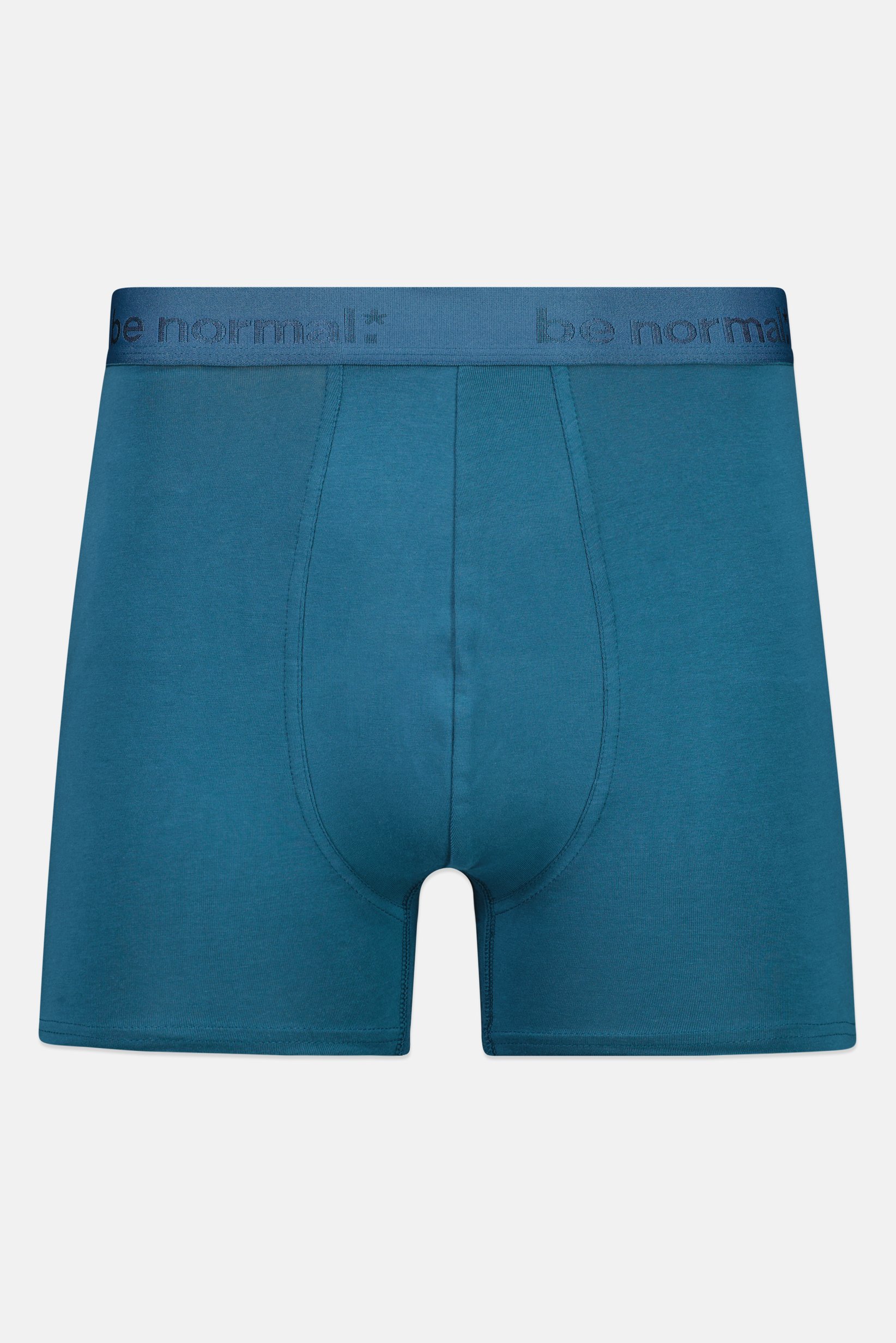 Men Brand Logo Boxer Brief, Teal Blue