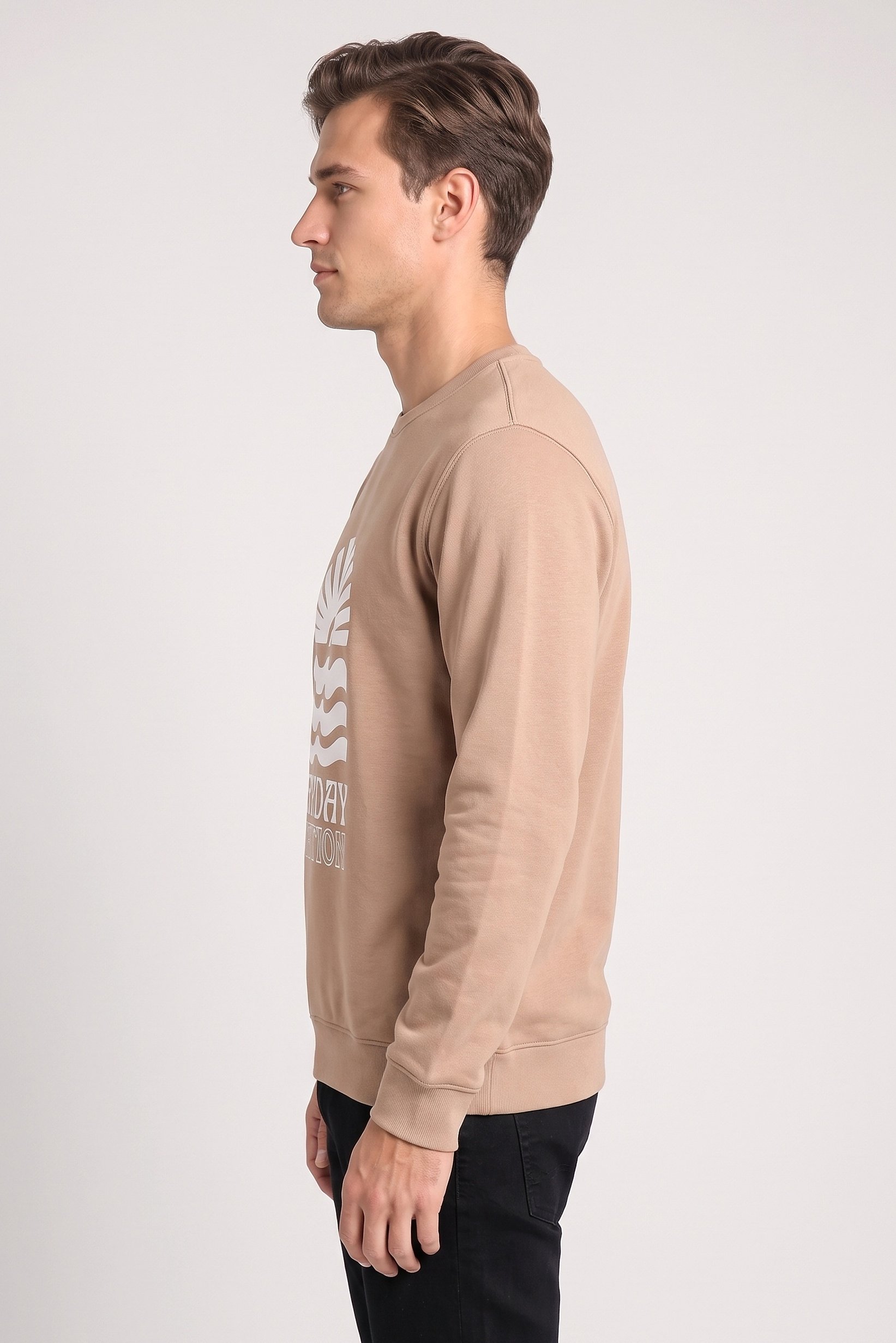 Men Crew Neck Long Sleeve Graphic Print Sweatshirt, Tan
