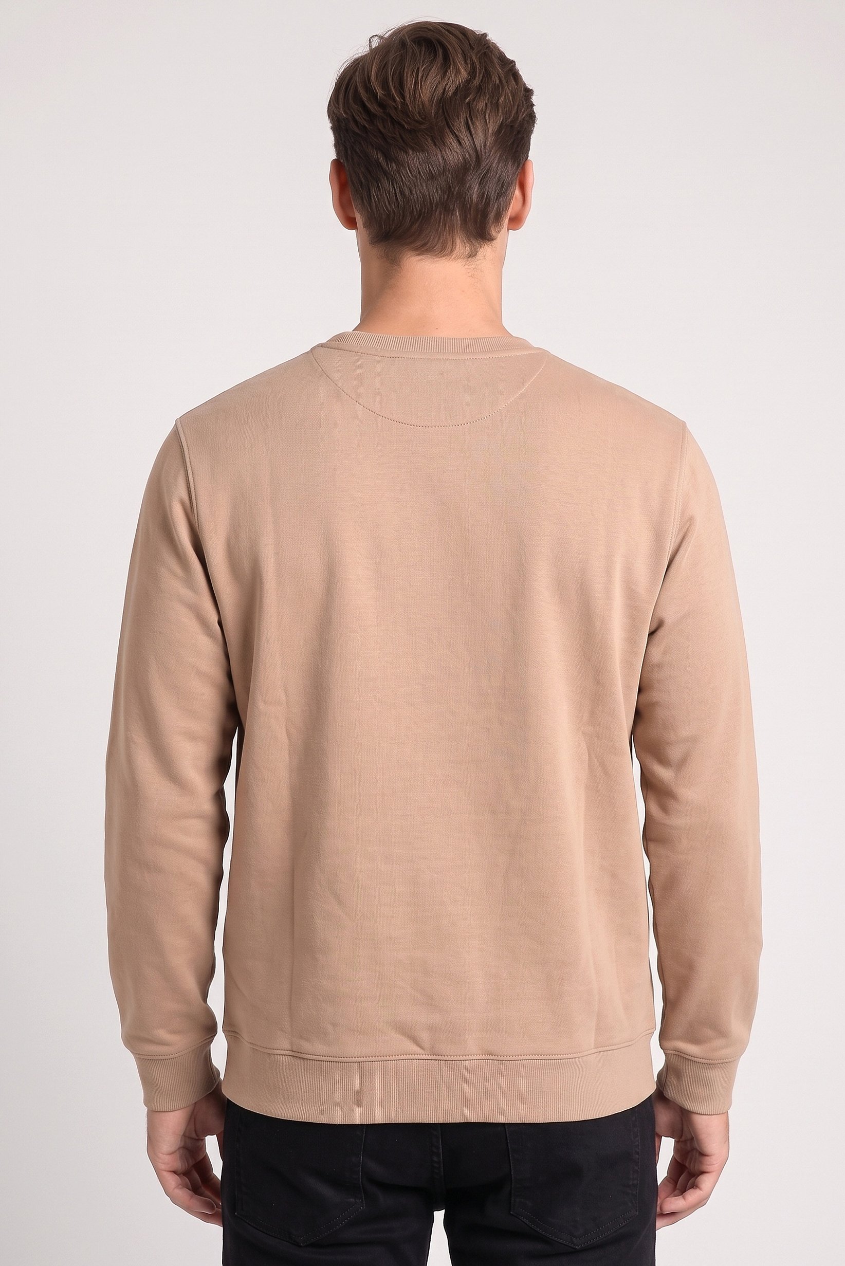 Men Crew Neck Long Sleeve Graphic Print Sweatshirt, Tan