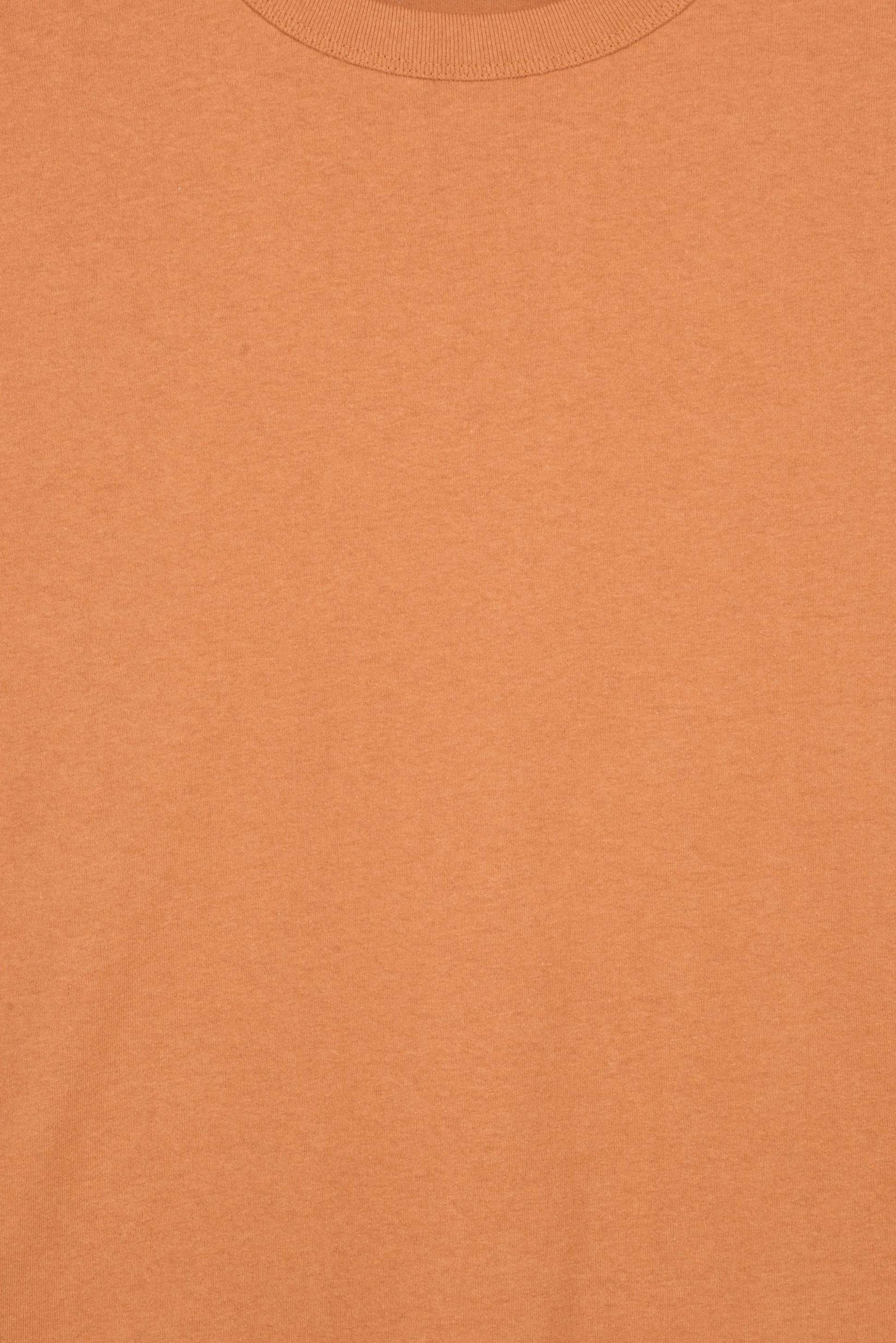 Men Crew Neck Short Sleeves Solid T-Shirt, Brown