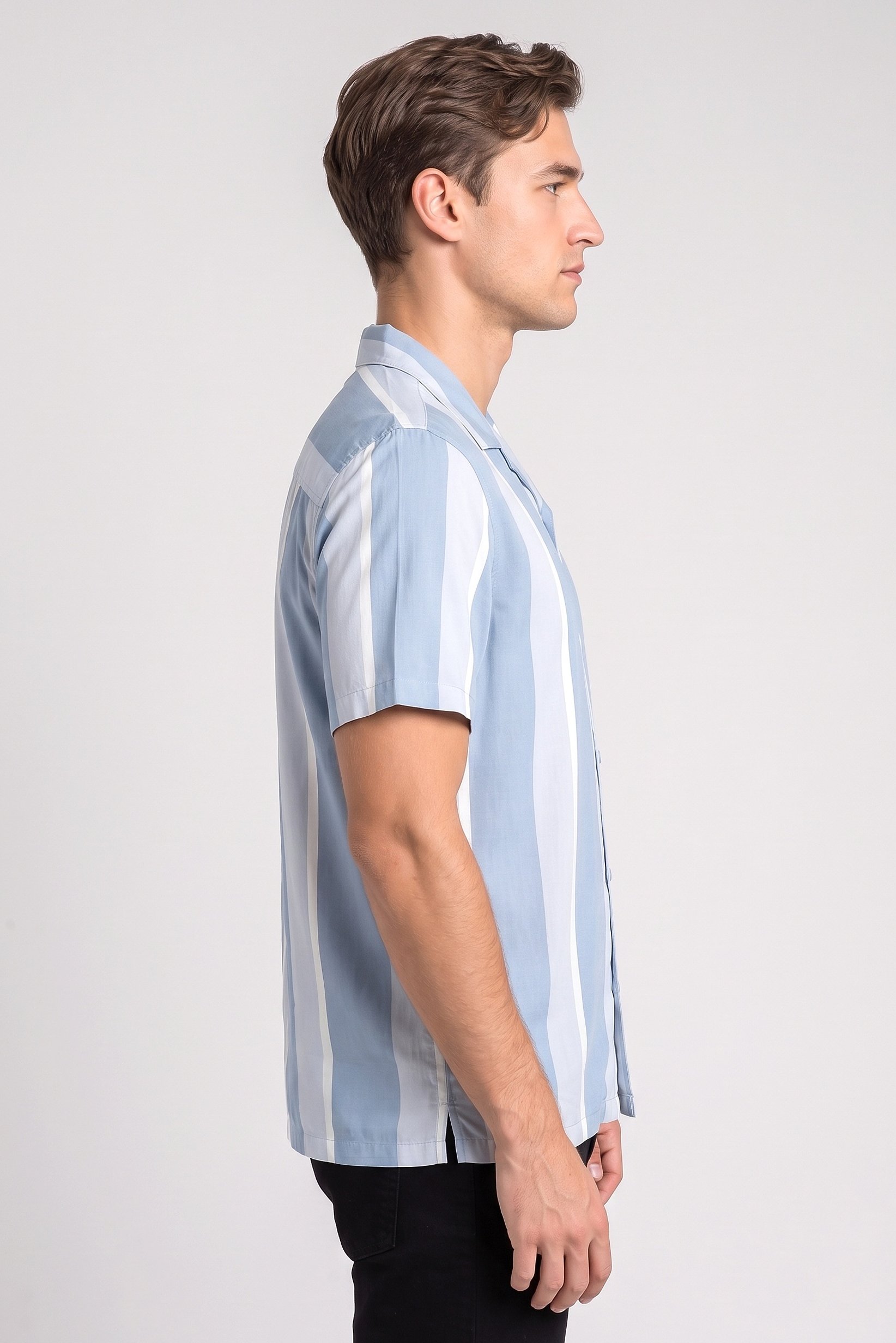 Men Regular Fit Short Sleeve Stripe Casual Shirt, Multicolor