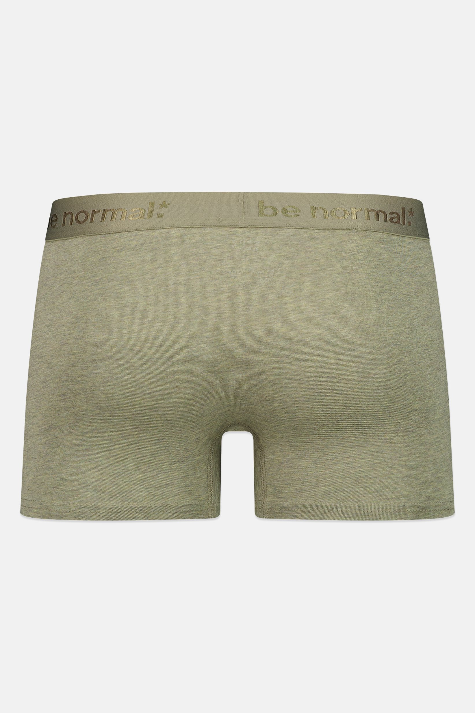 Men Heather Pull On Boxer, Heather Green
