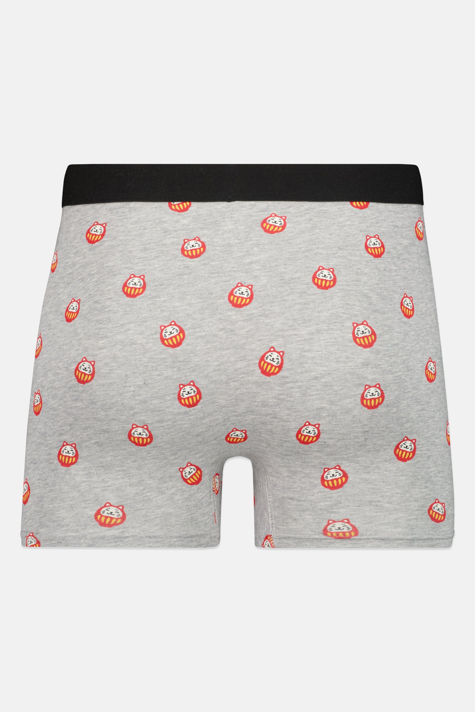 Men Graphic Print Boxer Brief, Multicolor