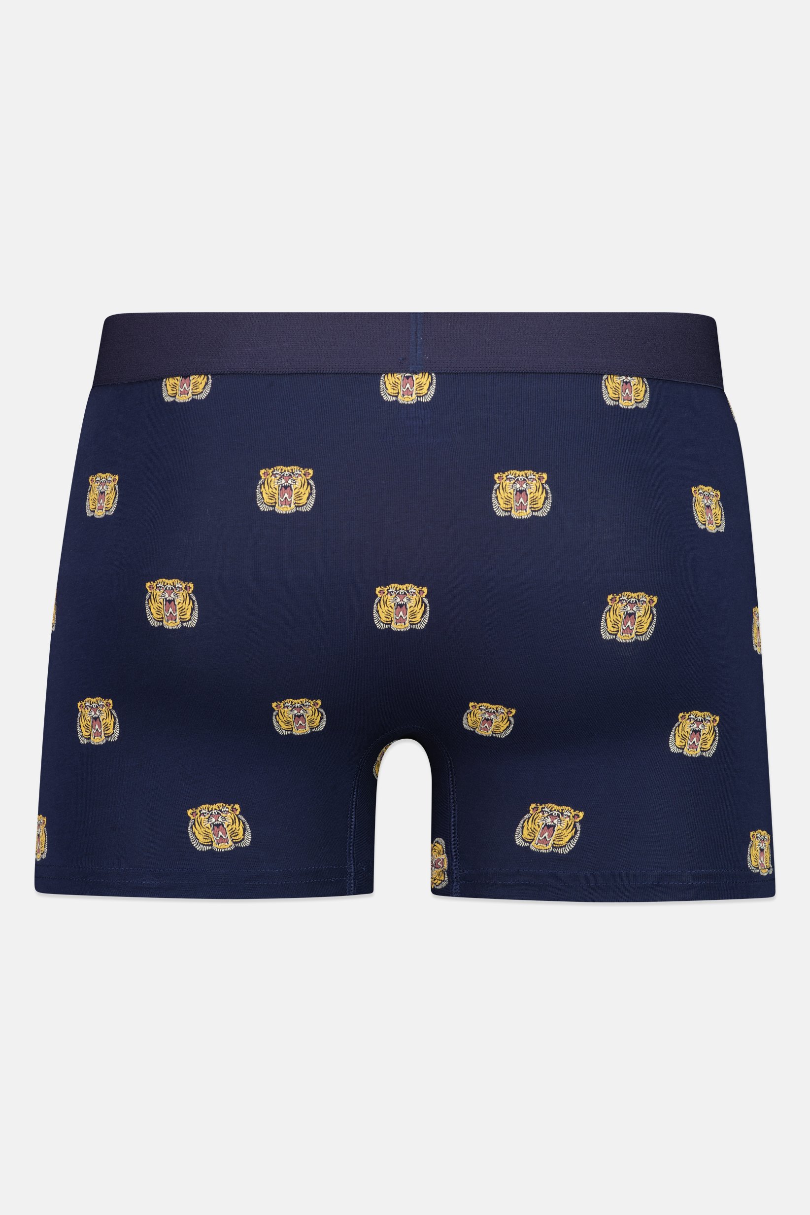 Men Allover Print Pull On Boxer, Multicolor