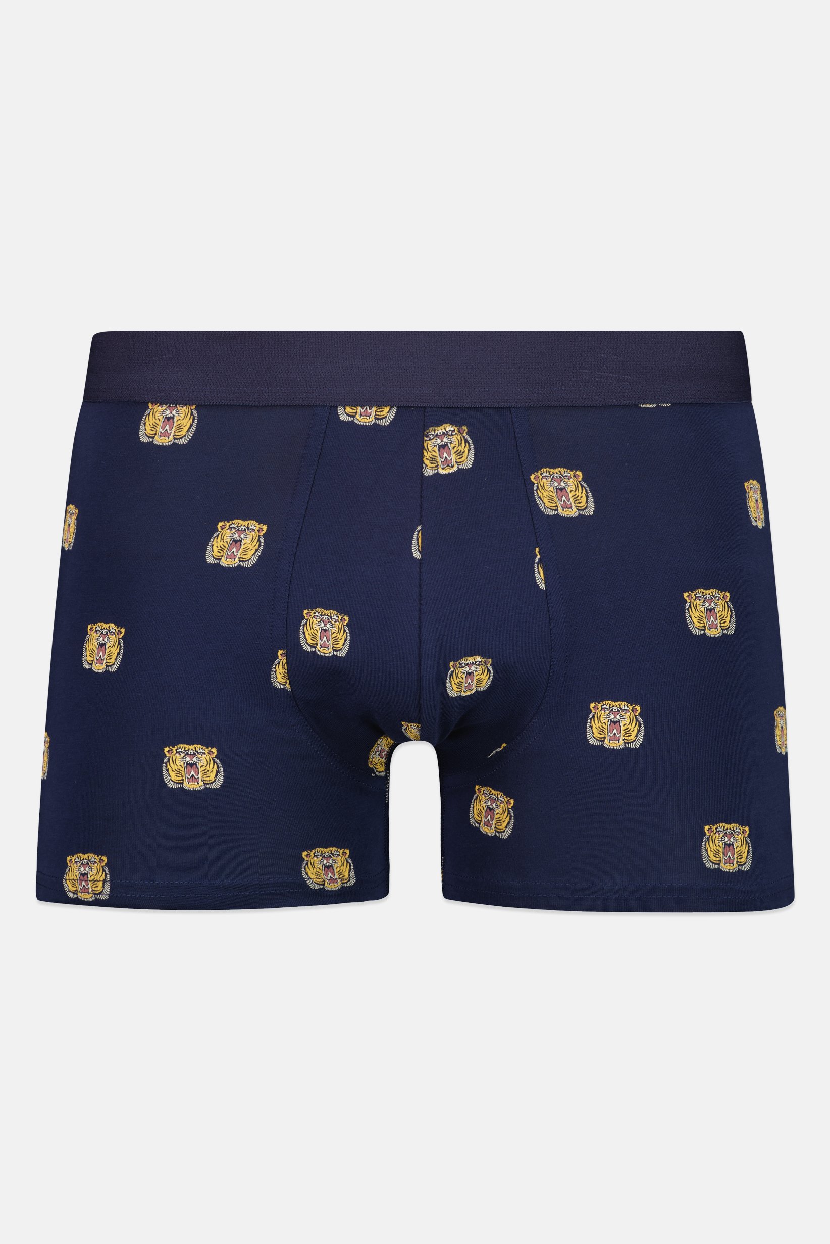 Men Allover Print Pull On Boxer, Multicolor