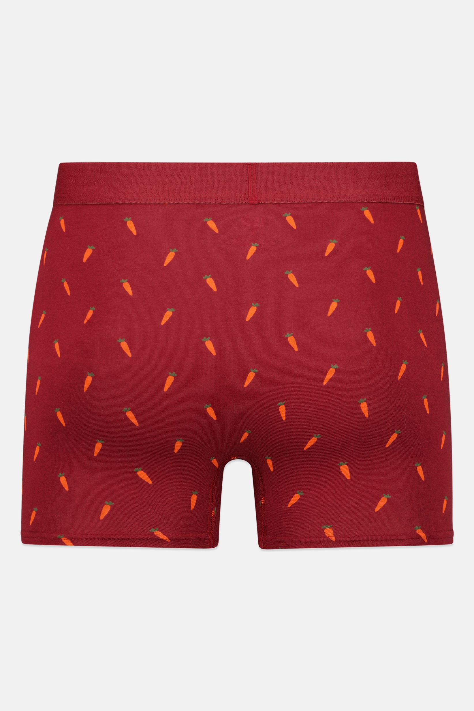 Men Allover Print Pull On Boxer, Multicolor