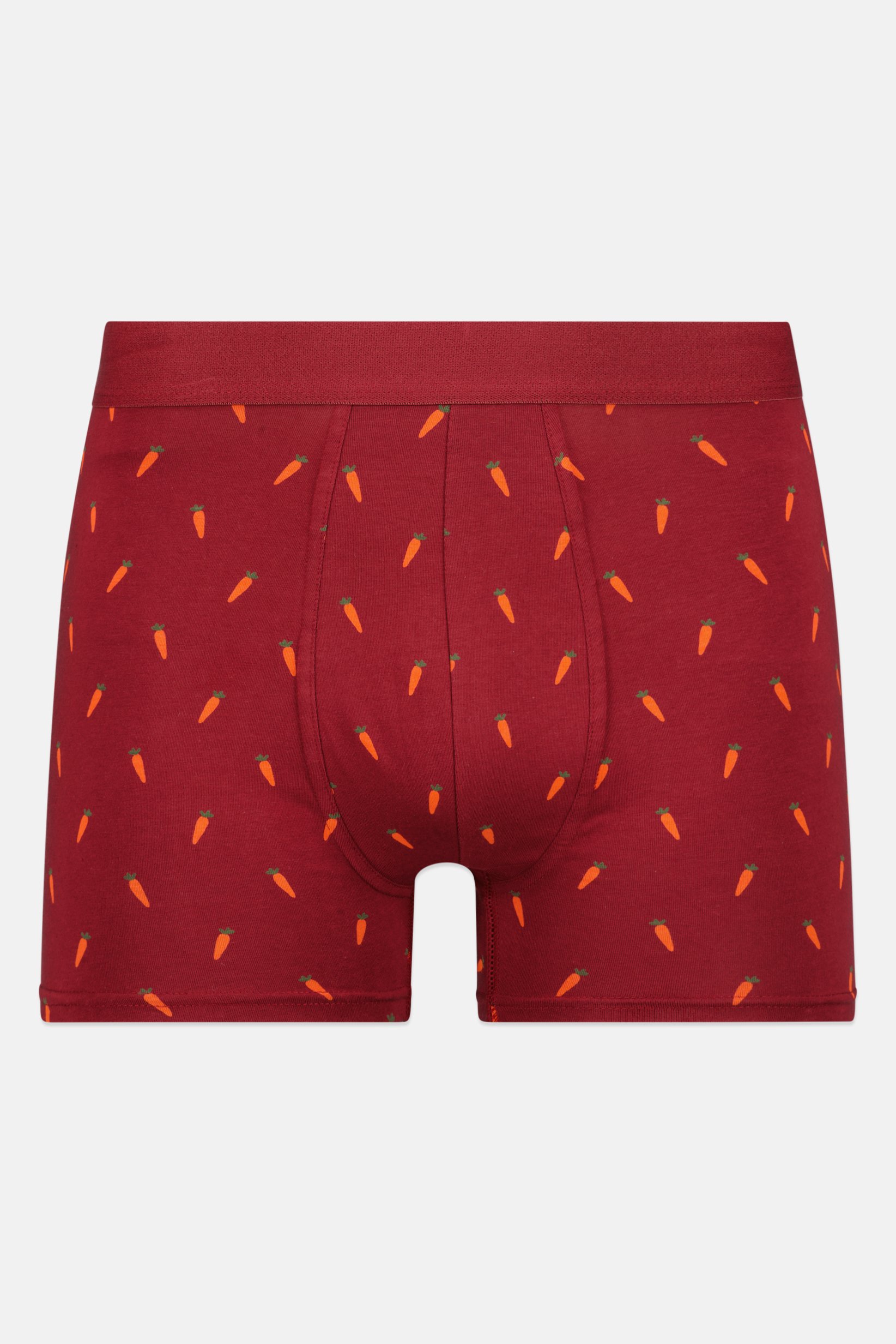 Men Allover Print Pull On Boxer, Multicolor
