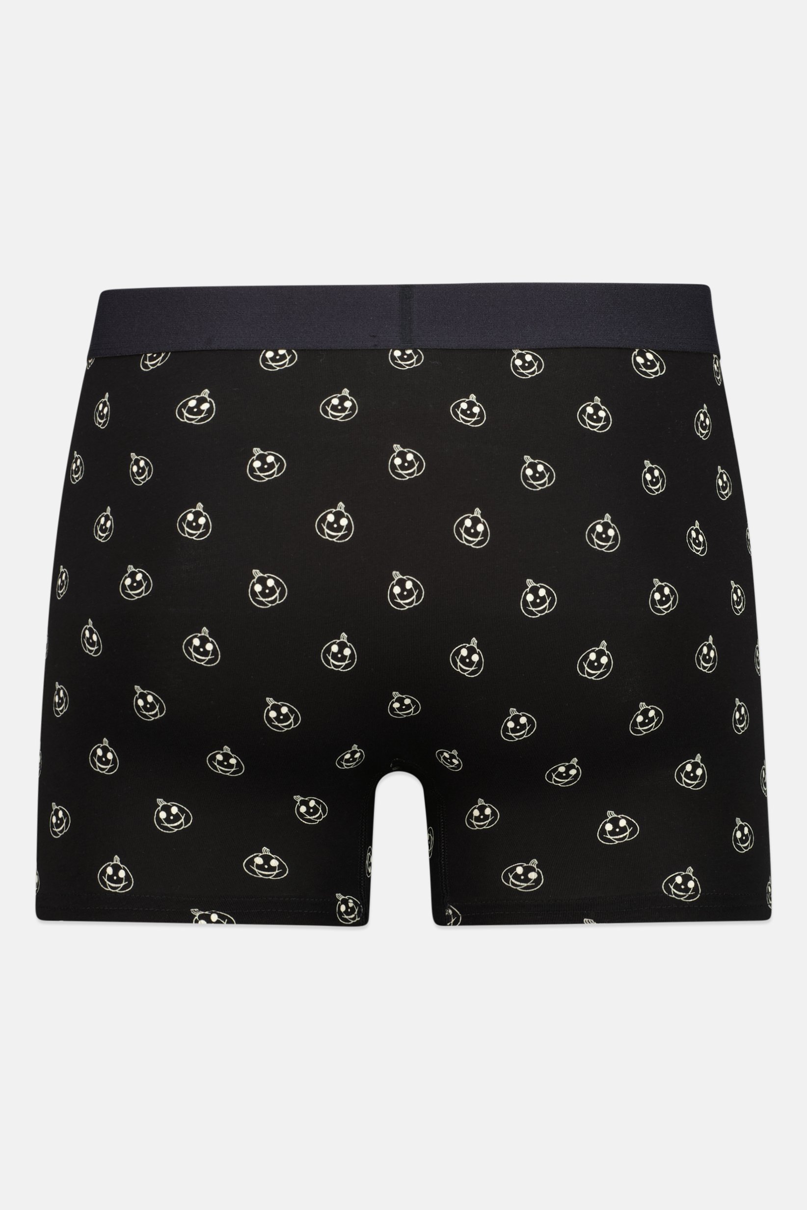 Men Allover Print Pull On Boxer, Multicolor
