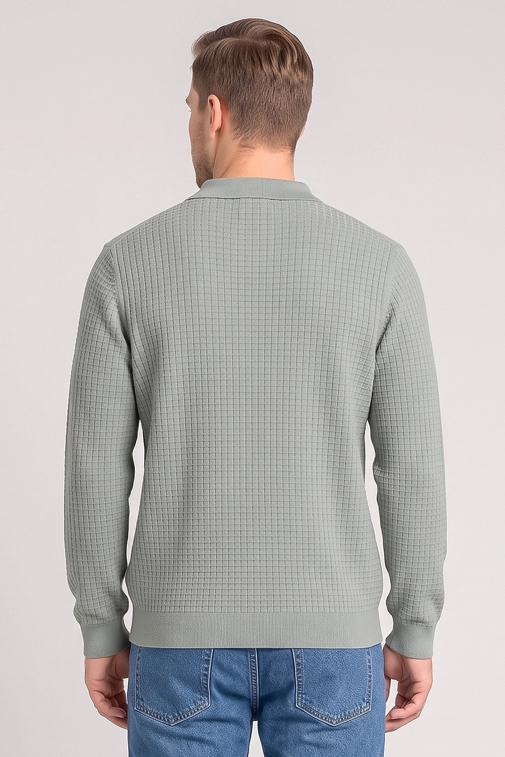 Men Regular Fit Textured Long Sleeve Polo Shirt, Sage Green
