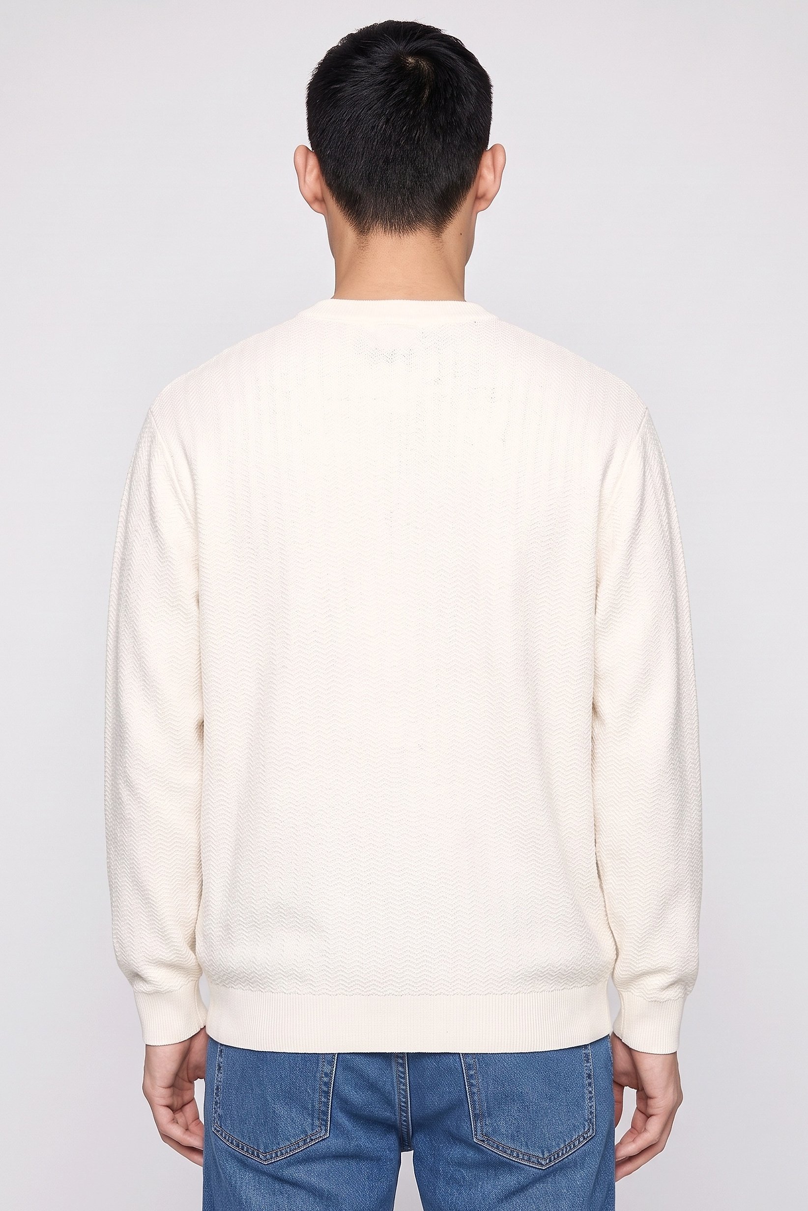 Men Crew Neck Textured Long Sleeve Sweater, Cream