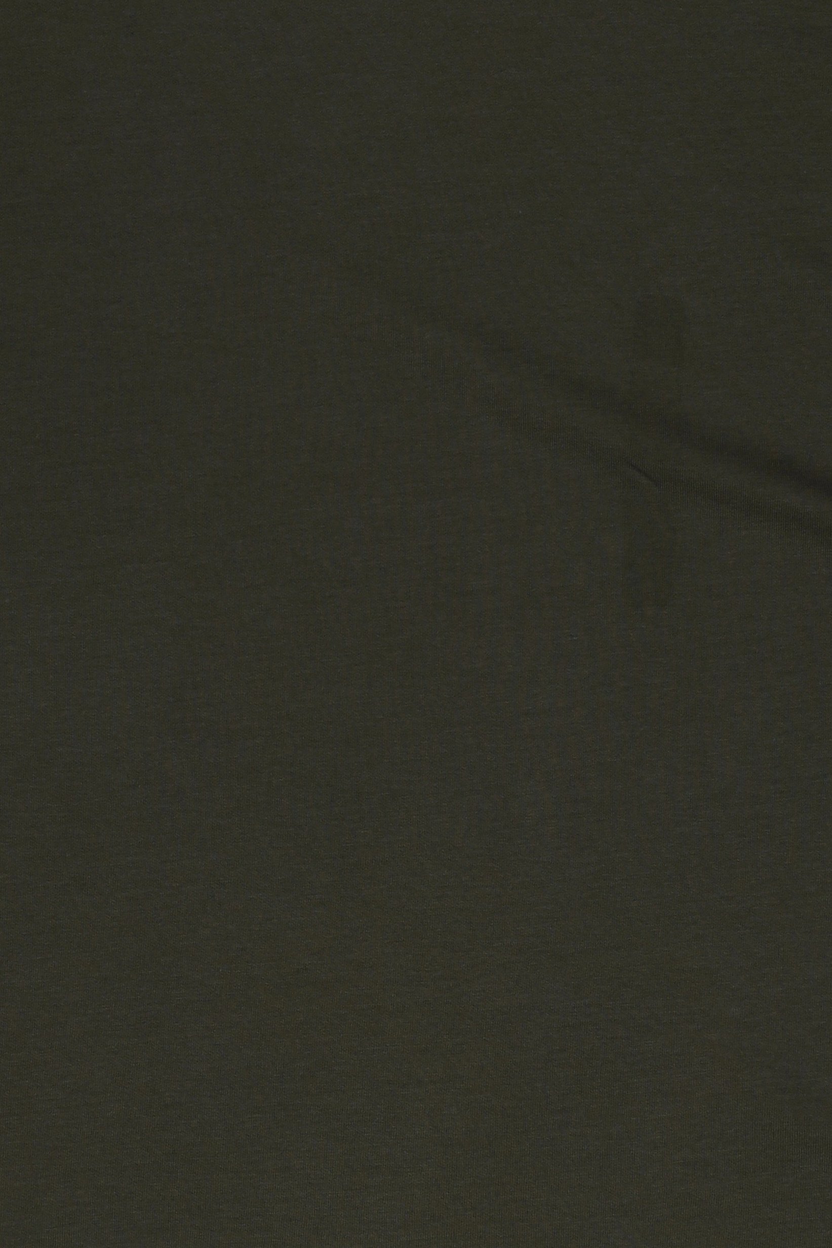Men Crew Neck Long Sleeve Plain T-Shirt, Olive