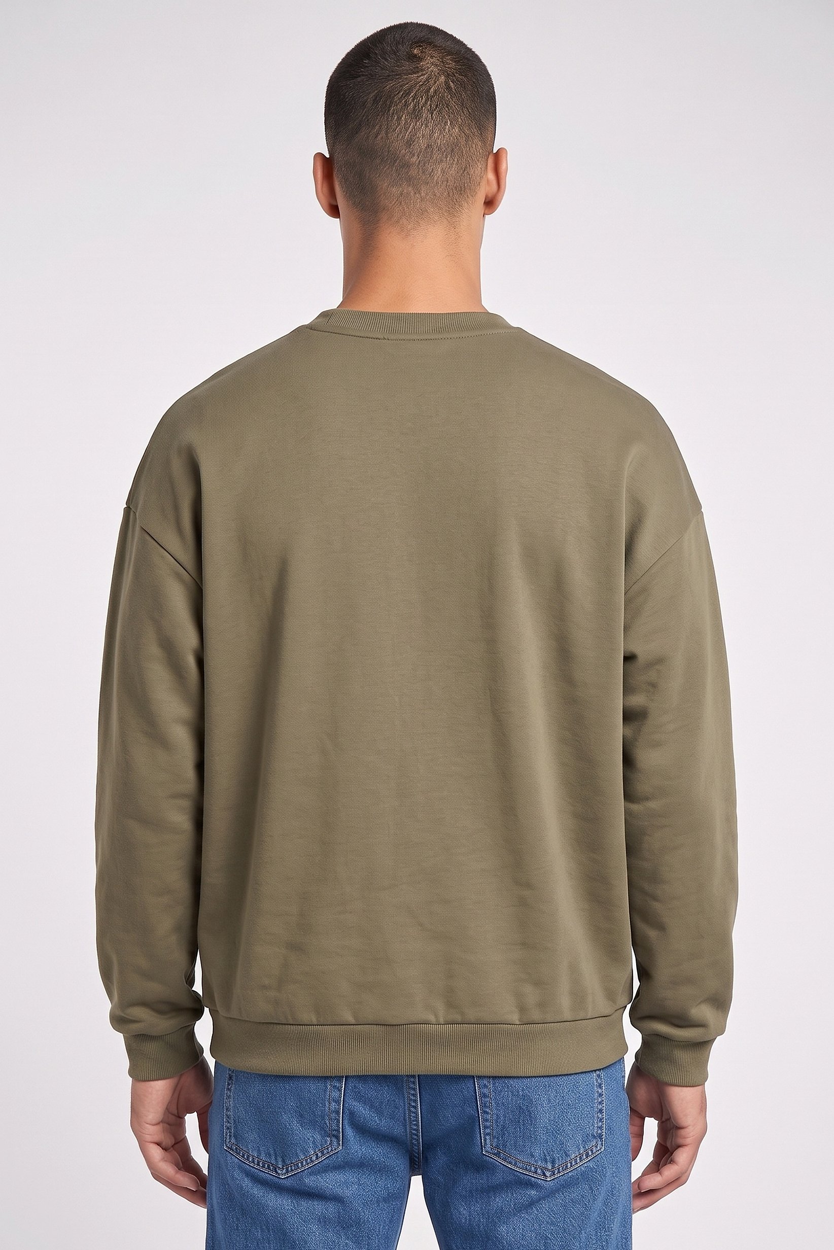 Men Crew Neck Long Sleeve Plain Sweatshirt, Sage Green