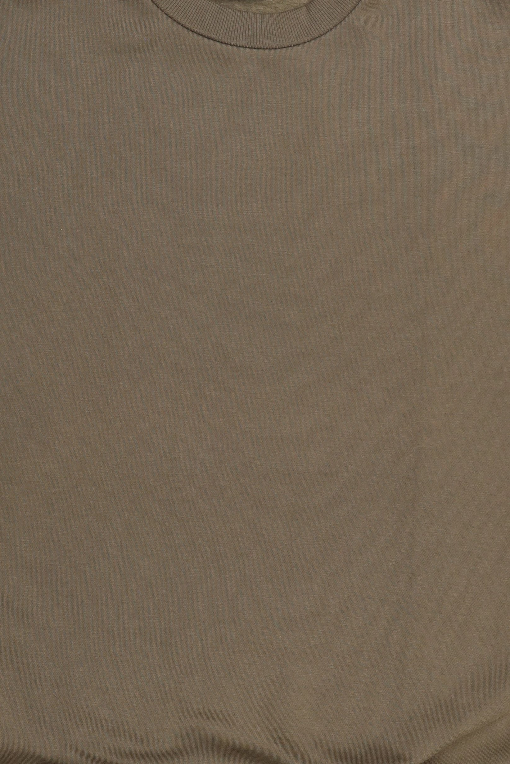 Men Crew Neck Long Sleeve Plain Sweatshirt, Sage Green