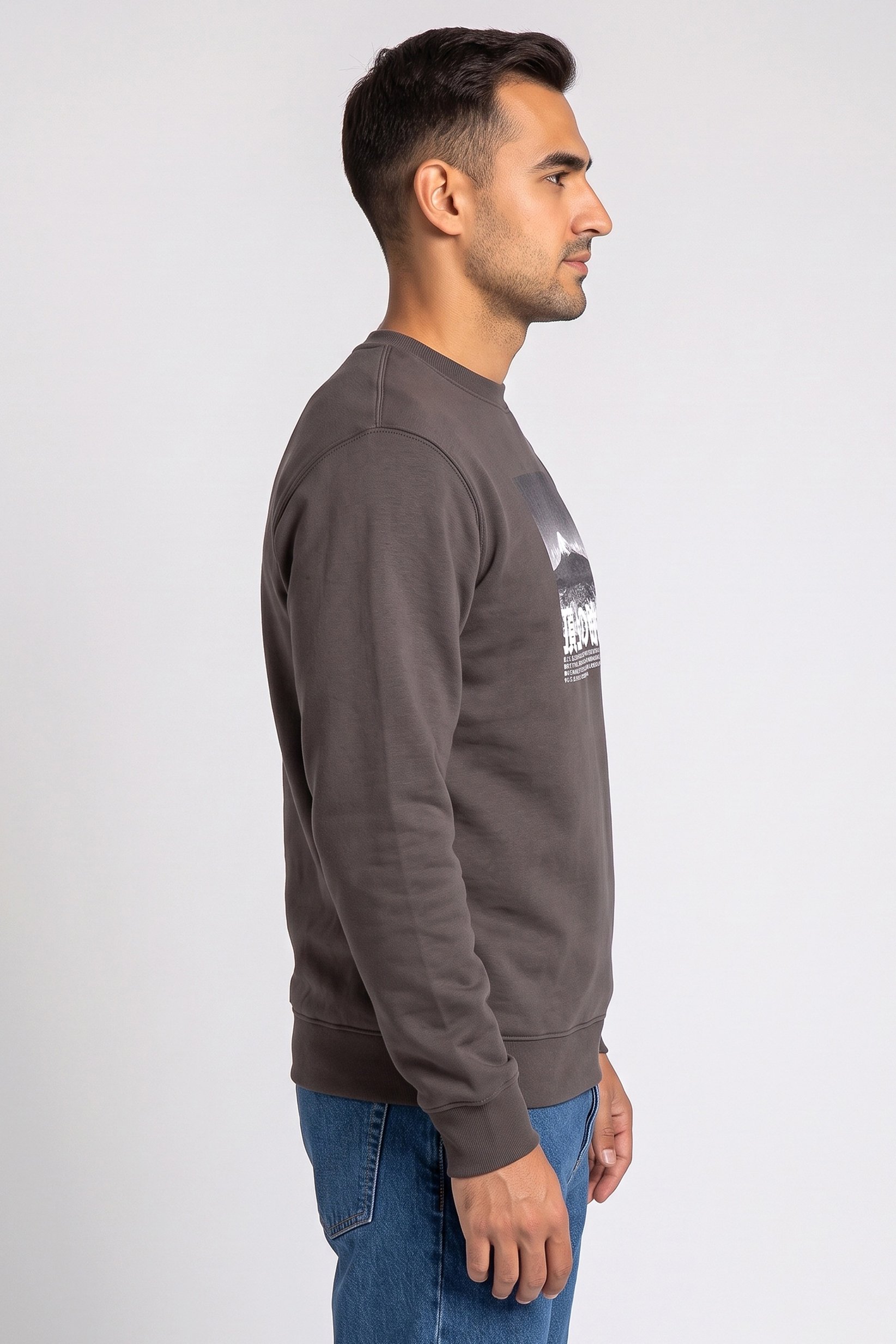 Men Crew Neck Graphic Print Long Sleeve Hoodie, Charcoal