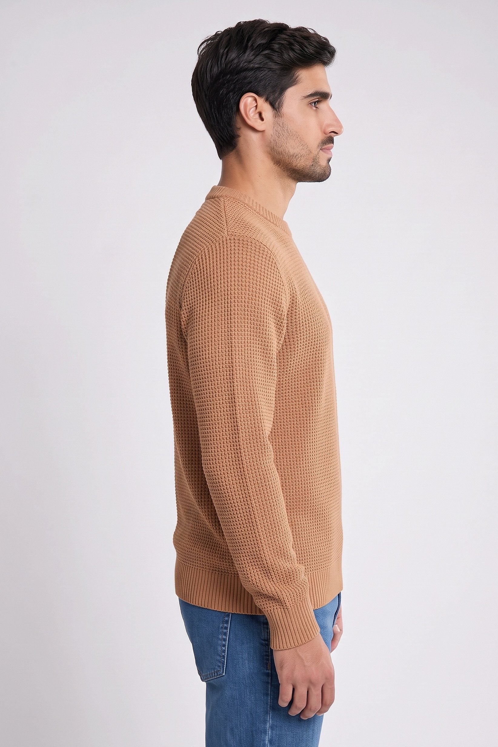 Men Crew Neck Textured Sweater, Tan