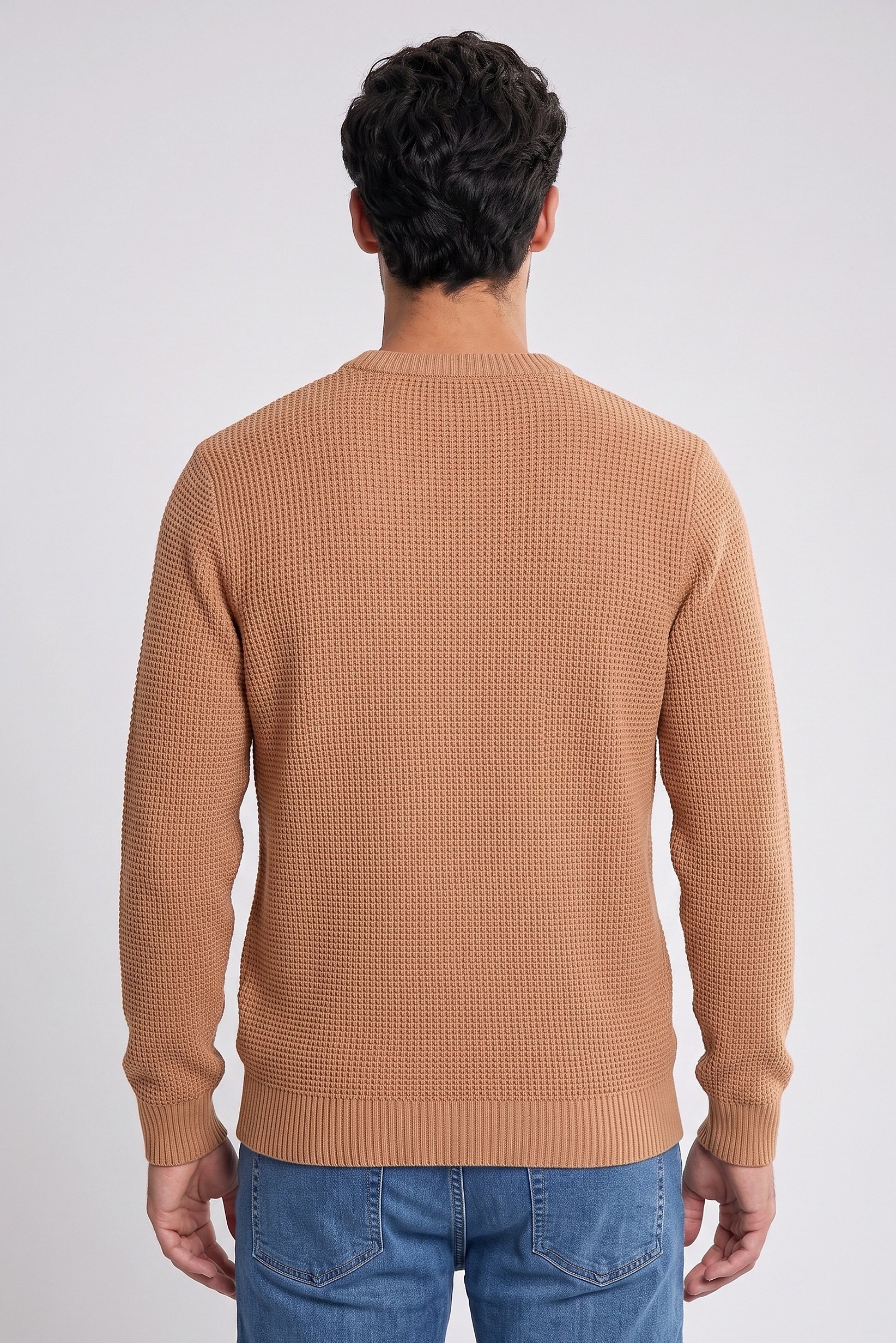 Men Crew Neck Textured Sweater, Tan