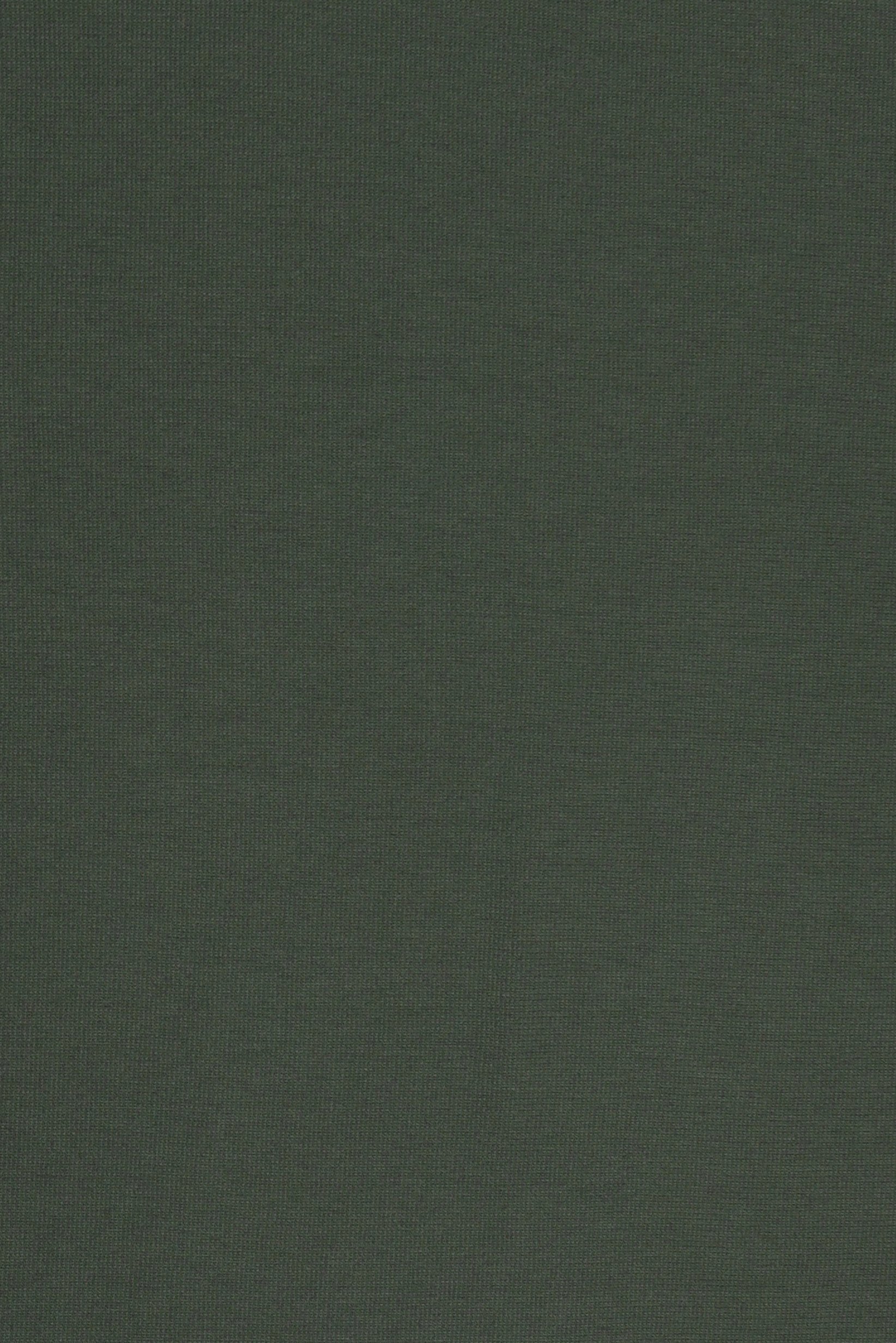 Men Regular Fit Long Sleeve Outdoor Sweatshirt, Olive