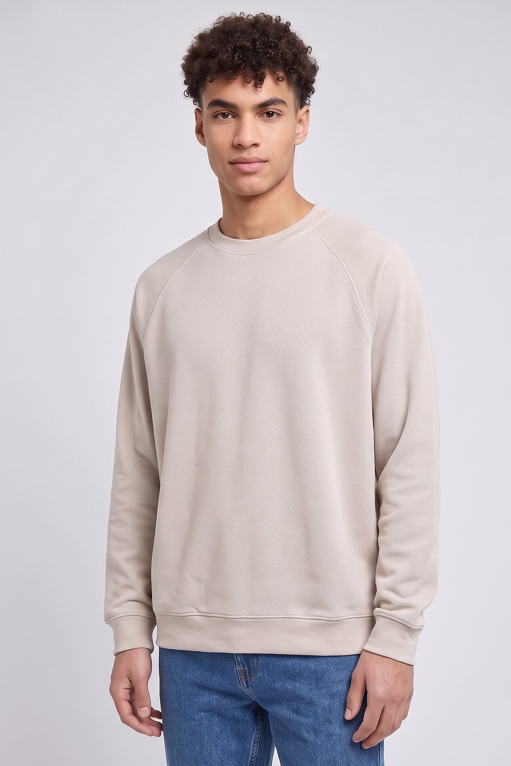 Men Crew Neck Textured Sweater, Light Beige