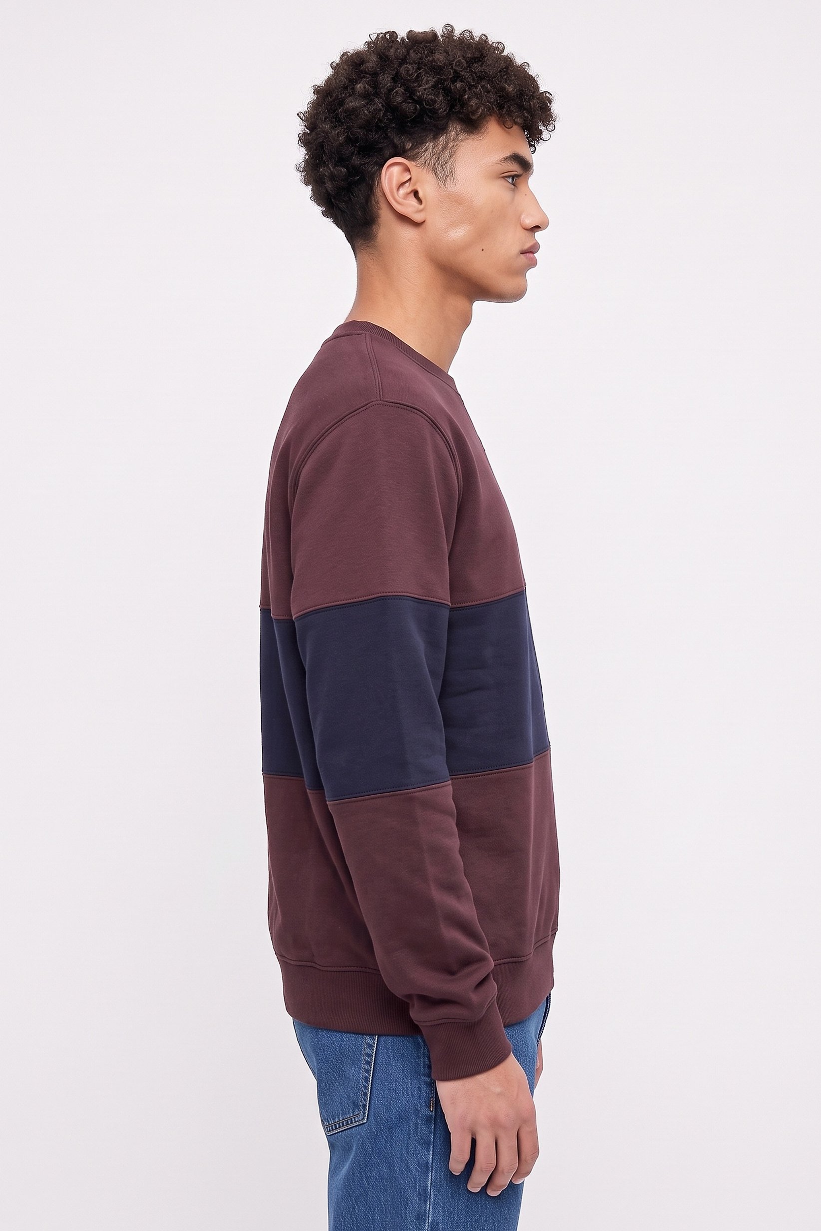 Men Crew Neck Two-Tone Long Sleeve Sweatshirt, Multicolor