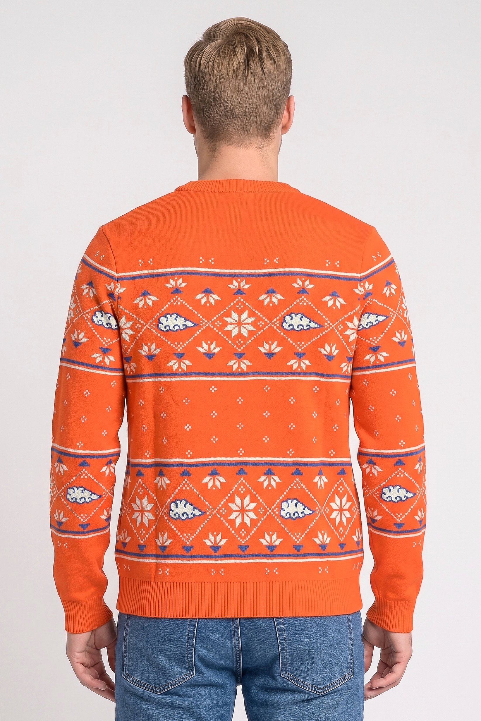 Men Crew Neck Long Sleeve Textured Sweatshirt, Multicolor
