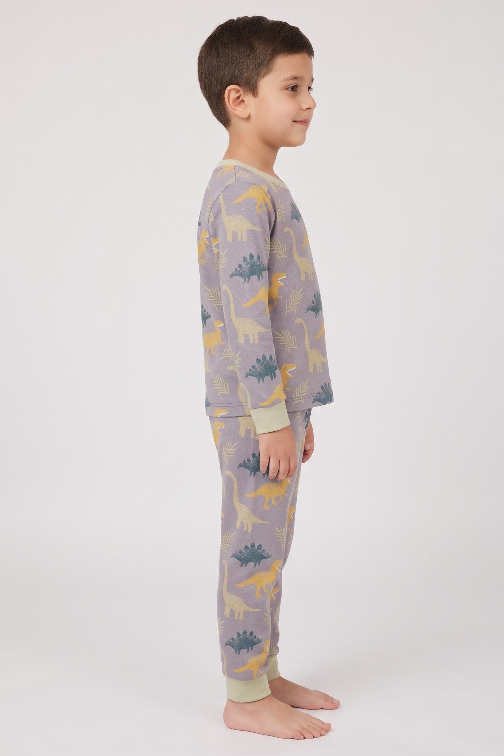 Toddlers Boy 2 Pieces Long Sleeve Allover Print Top And Bottom Pajama Set, Multicolor