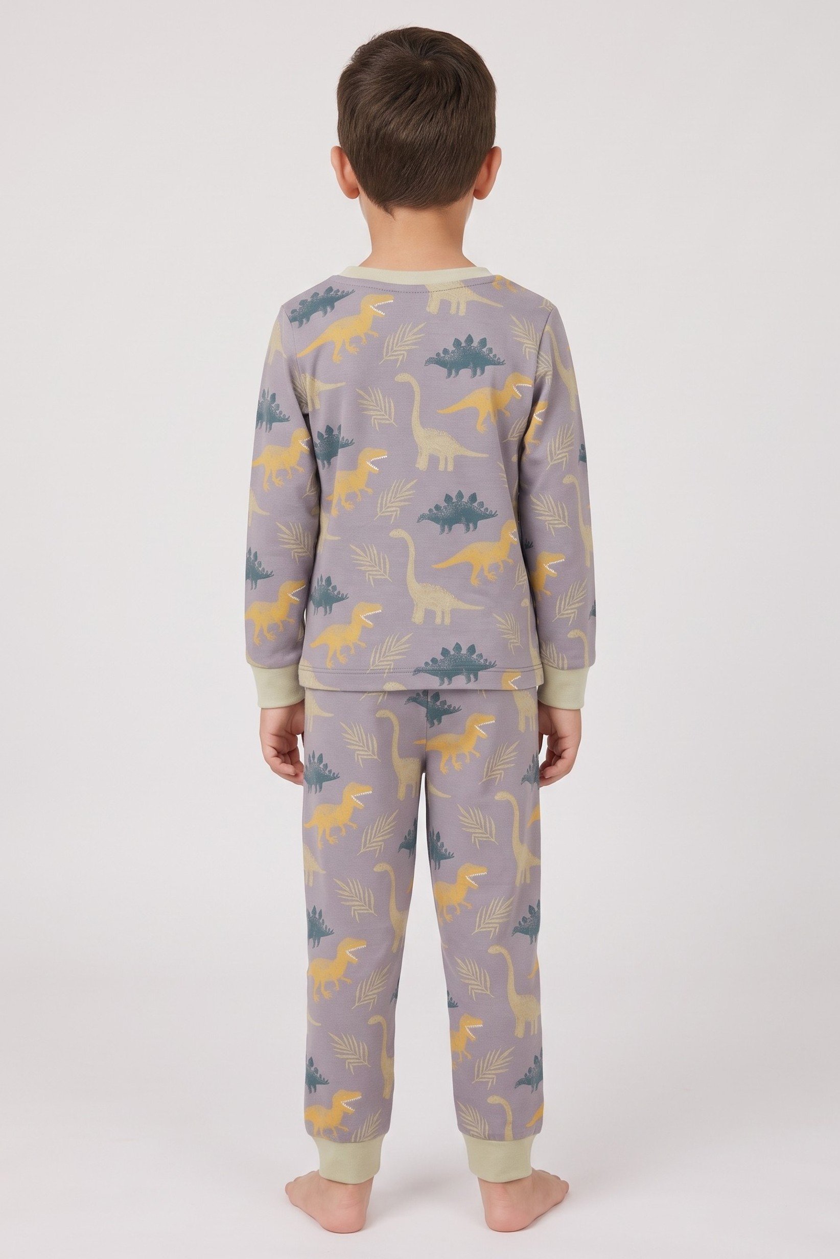Toddlers Boy 2 Pieces Long Sleeve Allover Print Top And Bottom Pajama Set, Multicolor