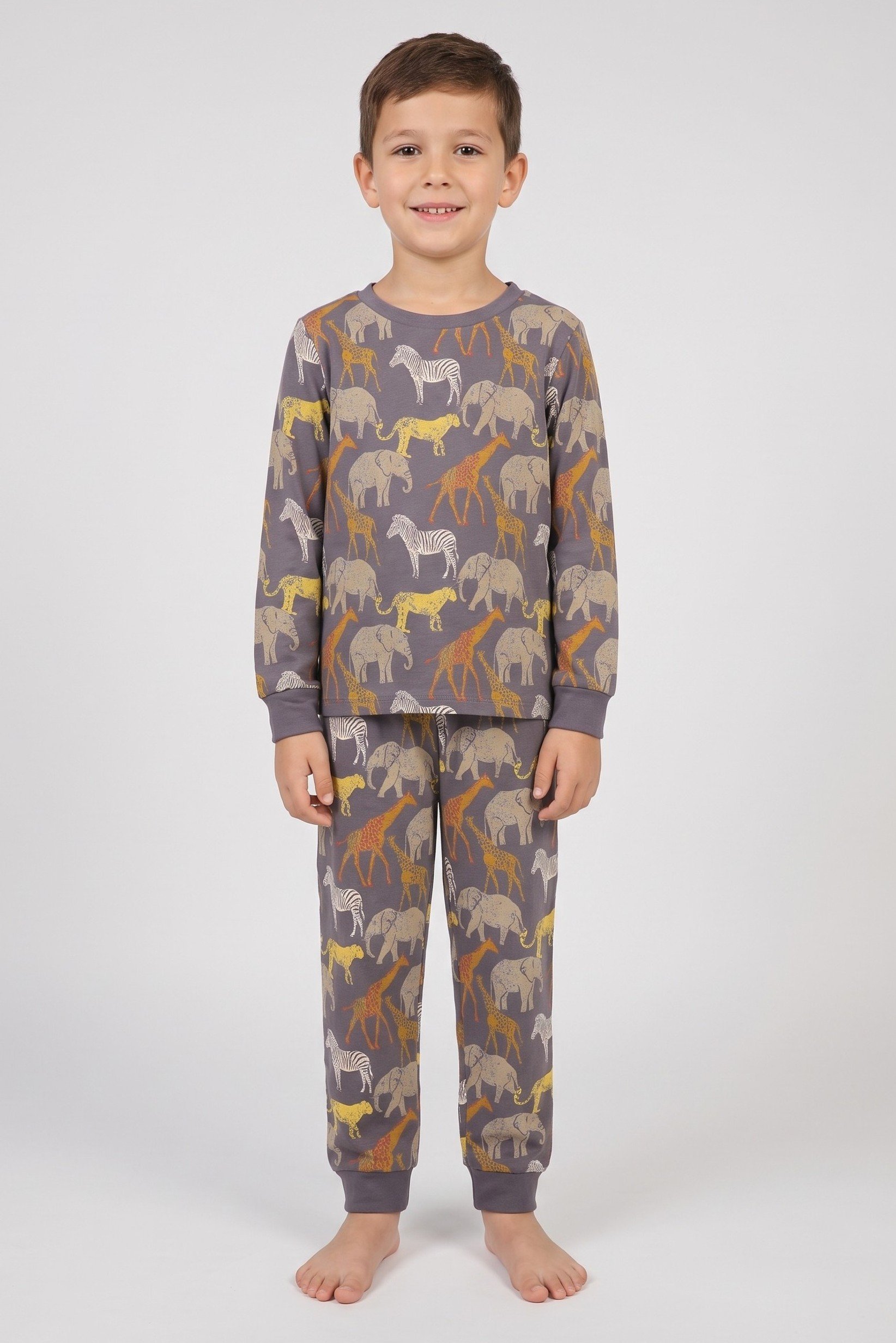 Toddlers Boy 2 Pieces Long Sleeve Allover Print Top And Bottom Pajama Set, Multicolor