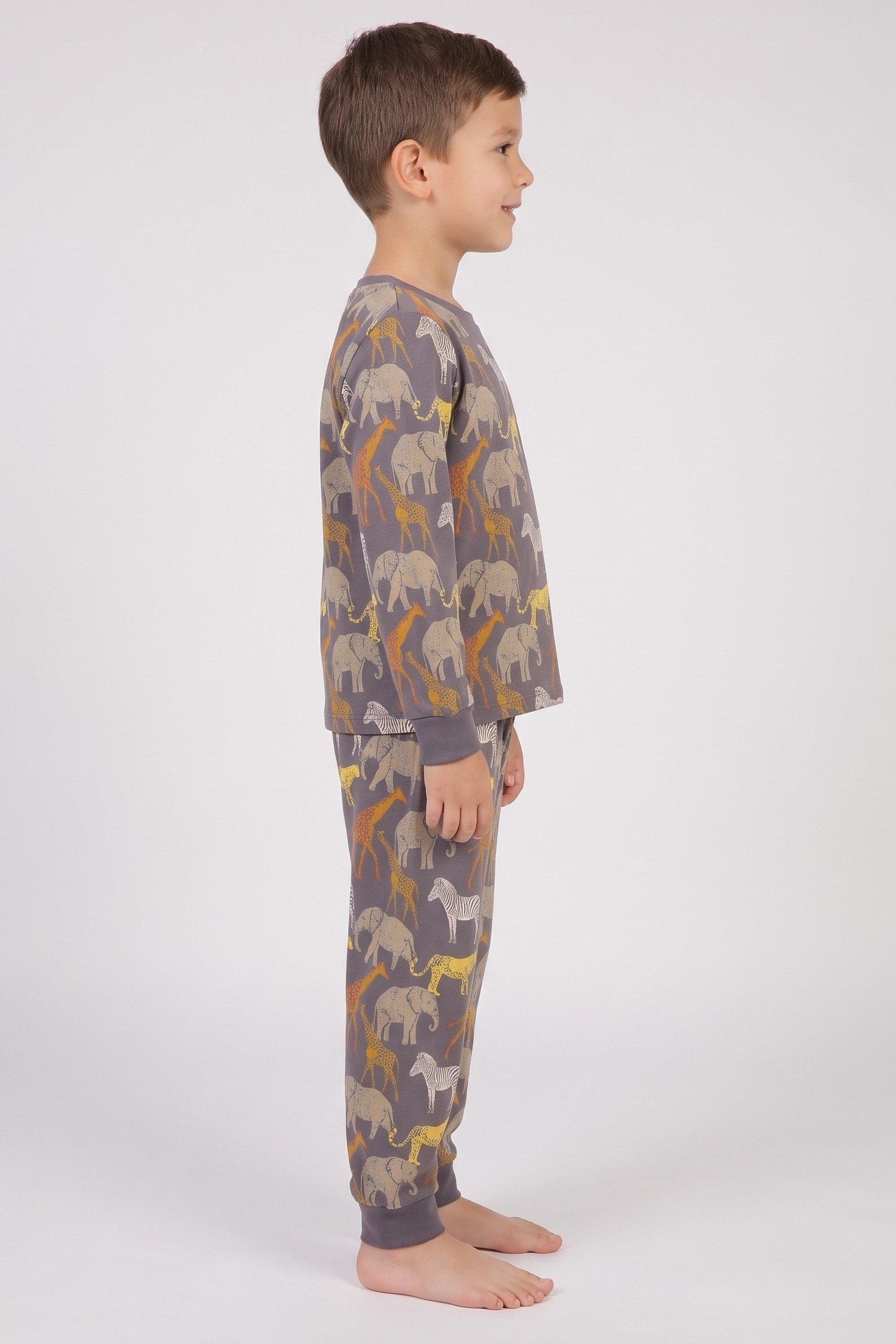 Toddlers Boy 2 Pieces Long Sleeve Allover Print Top And Bottom Pajama Set, Multicolor