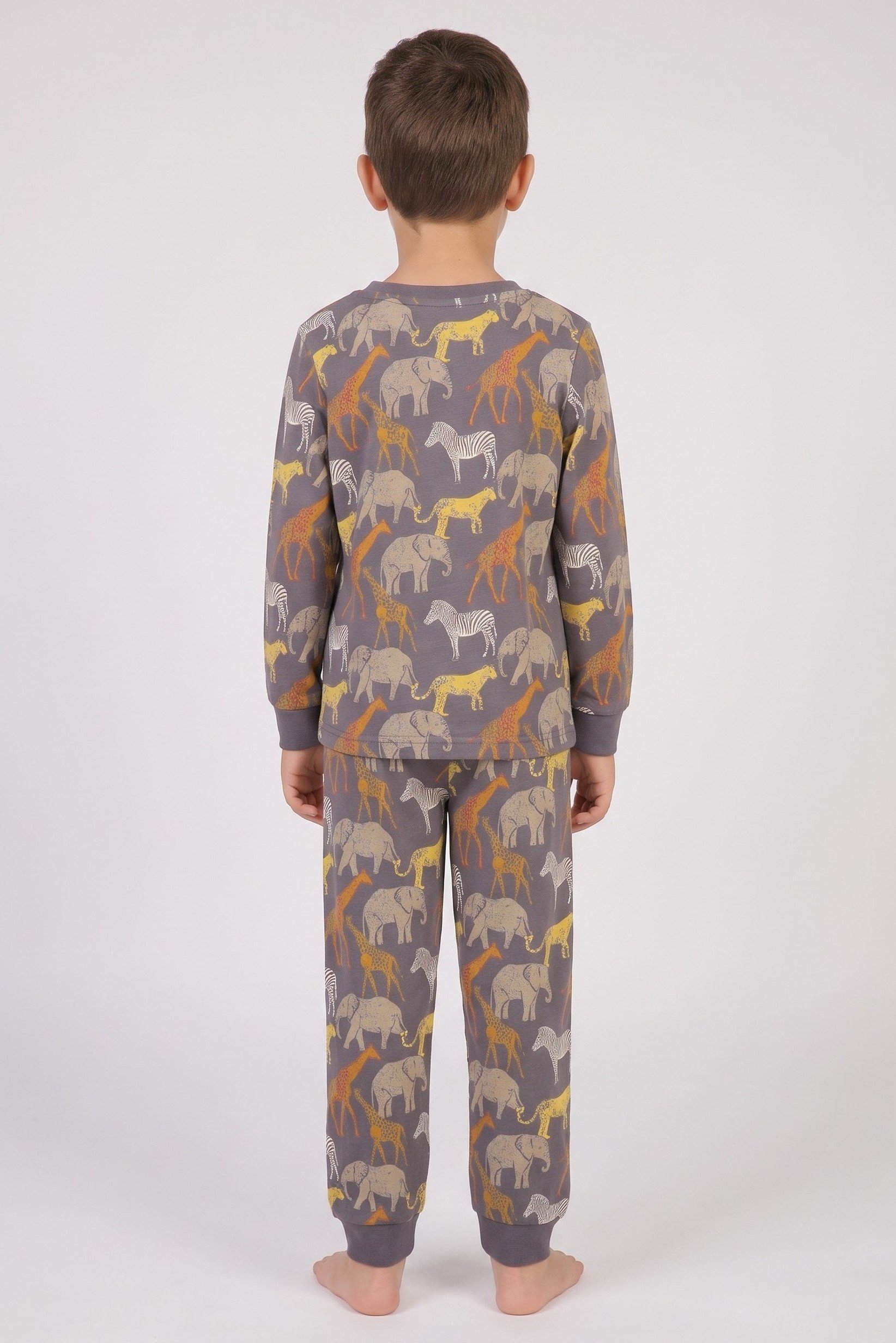 Toddlers Boy 2 Pieces Long Sleeve Allover Print Top And Bottom Pajama Set, Multicolor