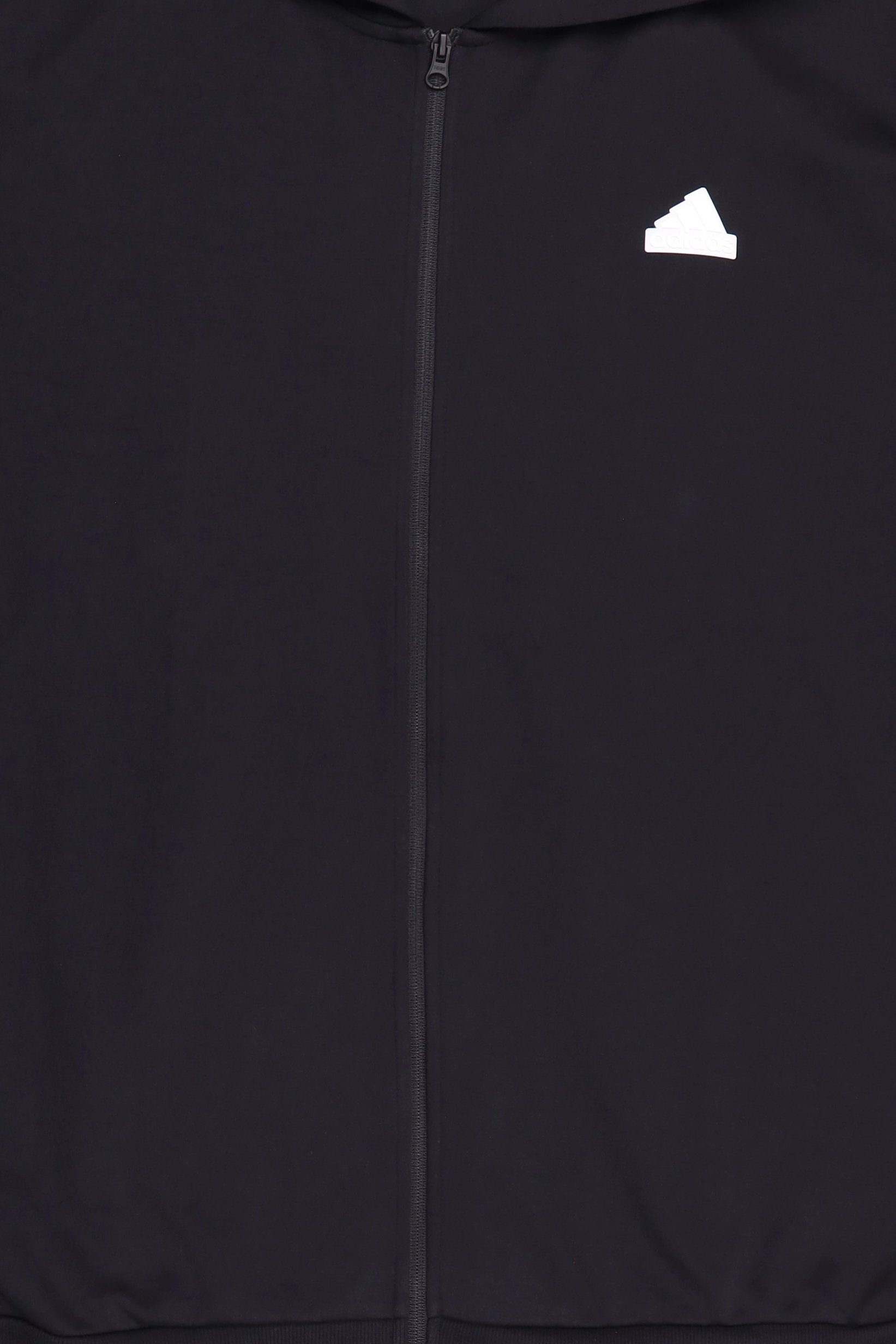 Men Sportswear Fit Outdoor Full Zip Hoodie, Black