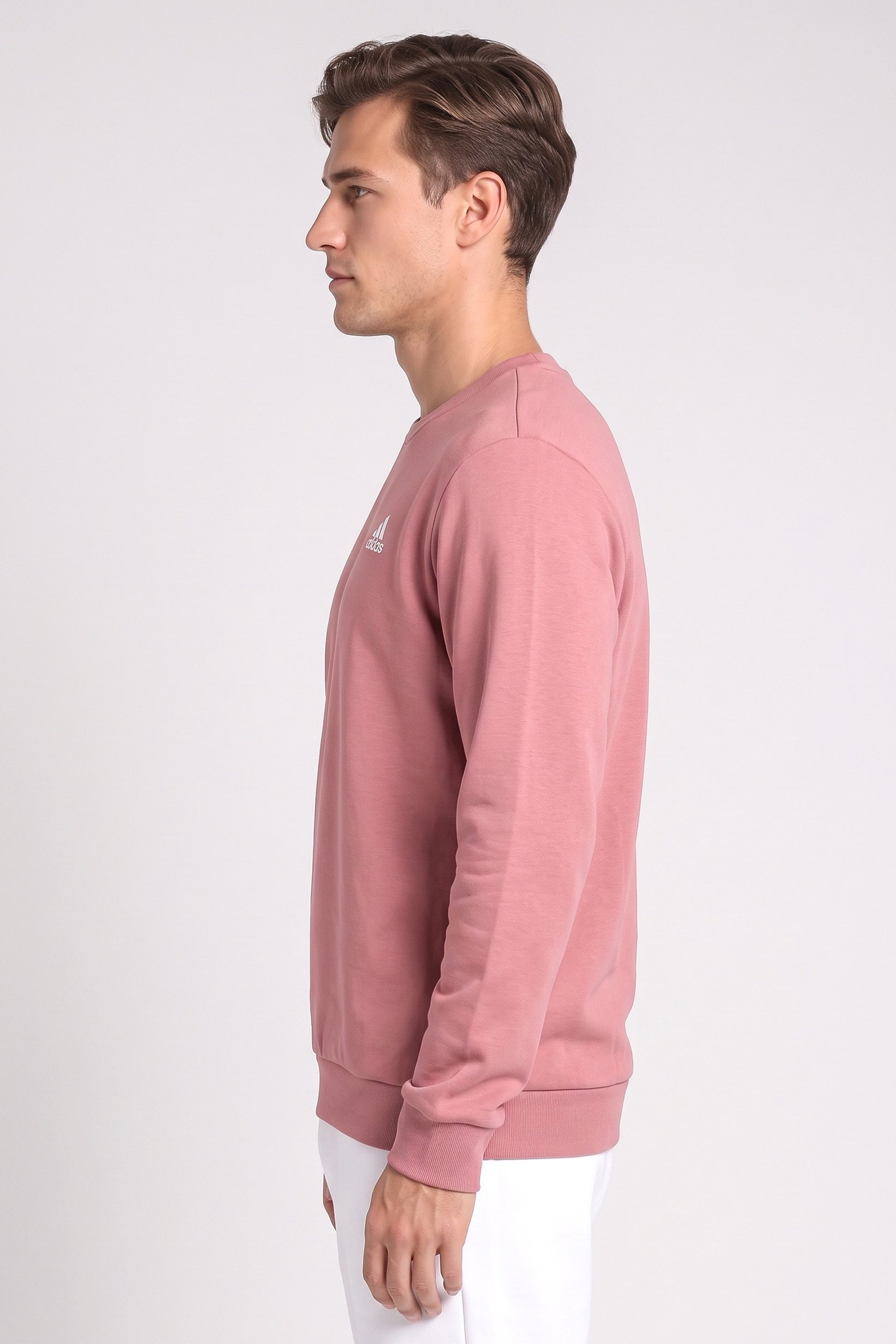 Men Sportswear Fit Long Sleeve Outdoor Sweatshirt, Mauve