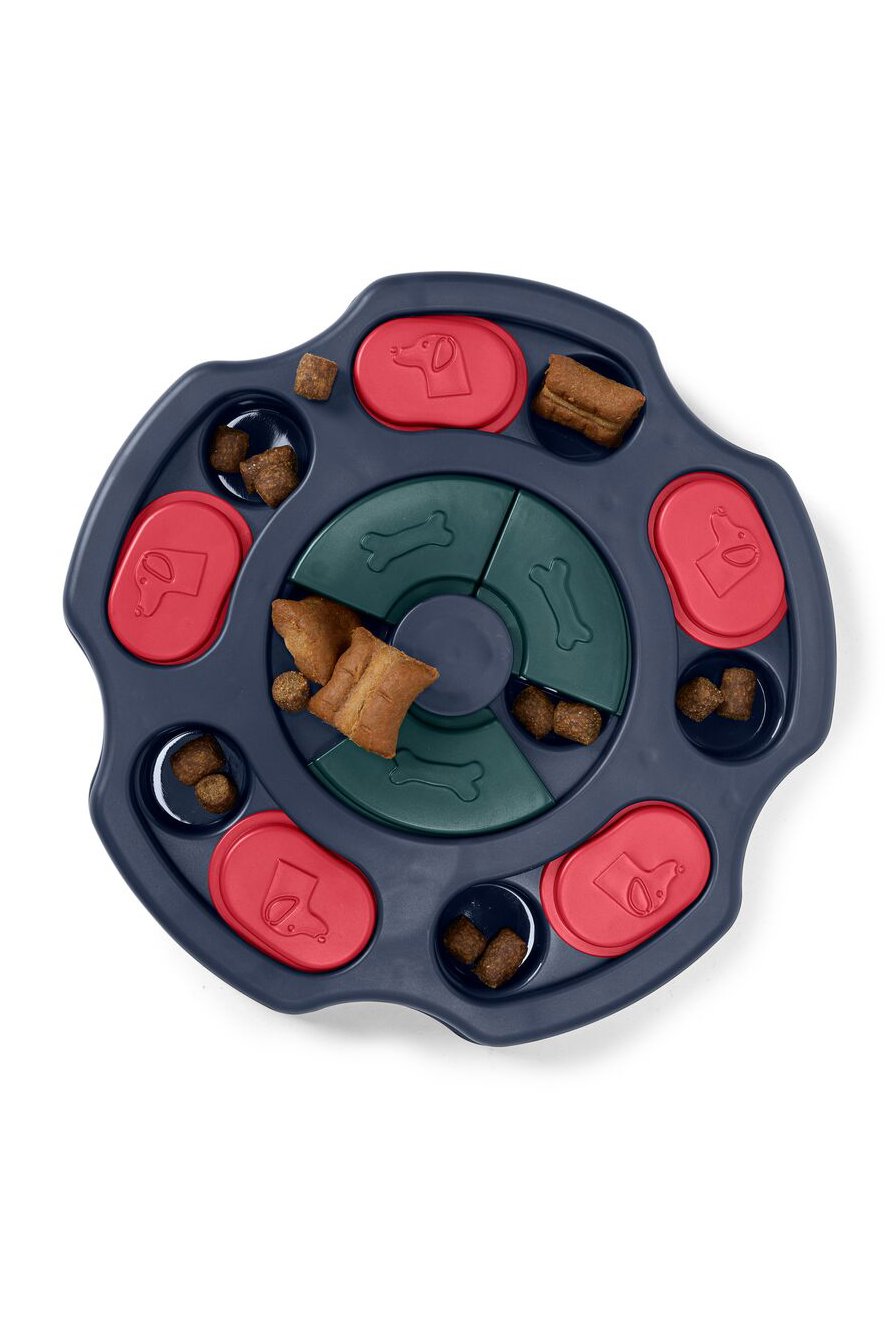 Dog Intelligence Toy