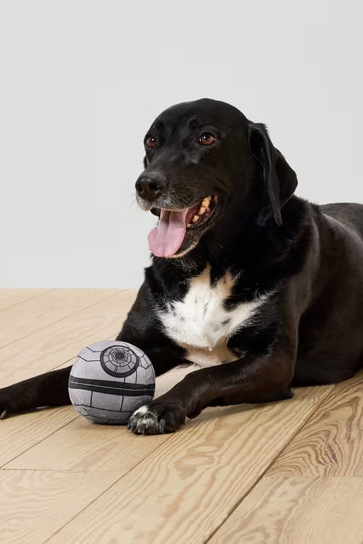 Star Wars Dog Squeaky Plush Ball, Grey