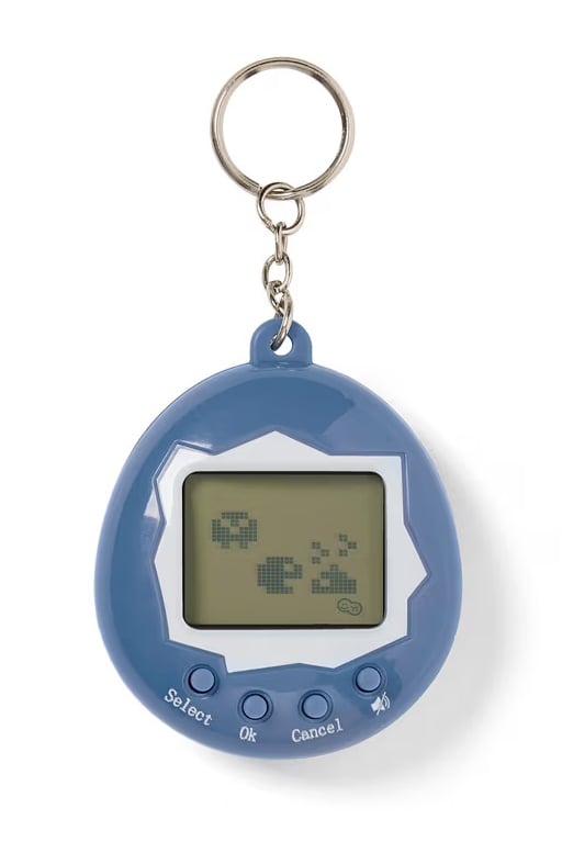 Digital Pet