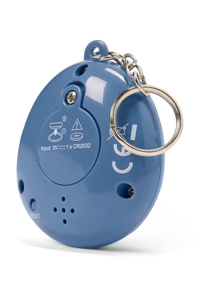 Digital Pet