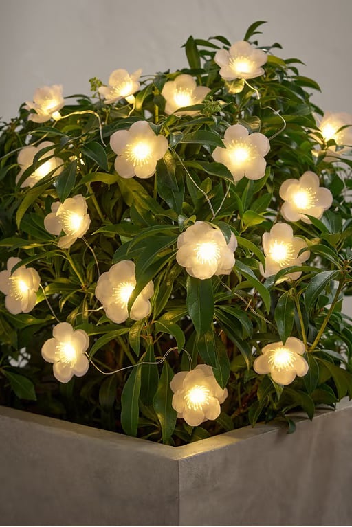 Outdoor LED Fairy Lights
