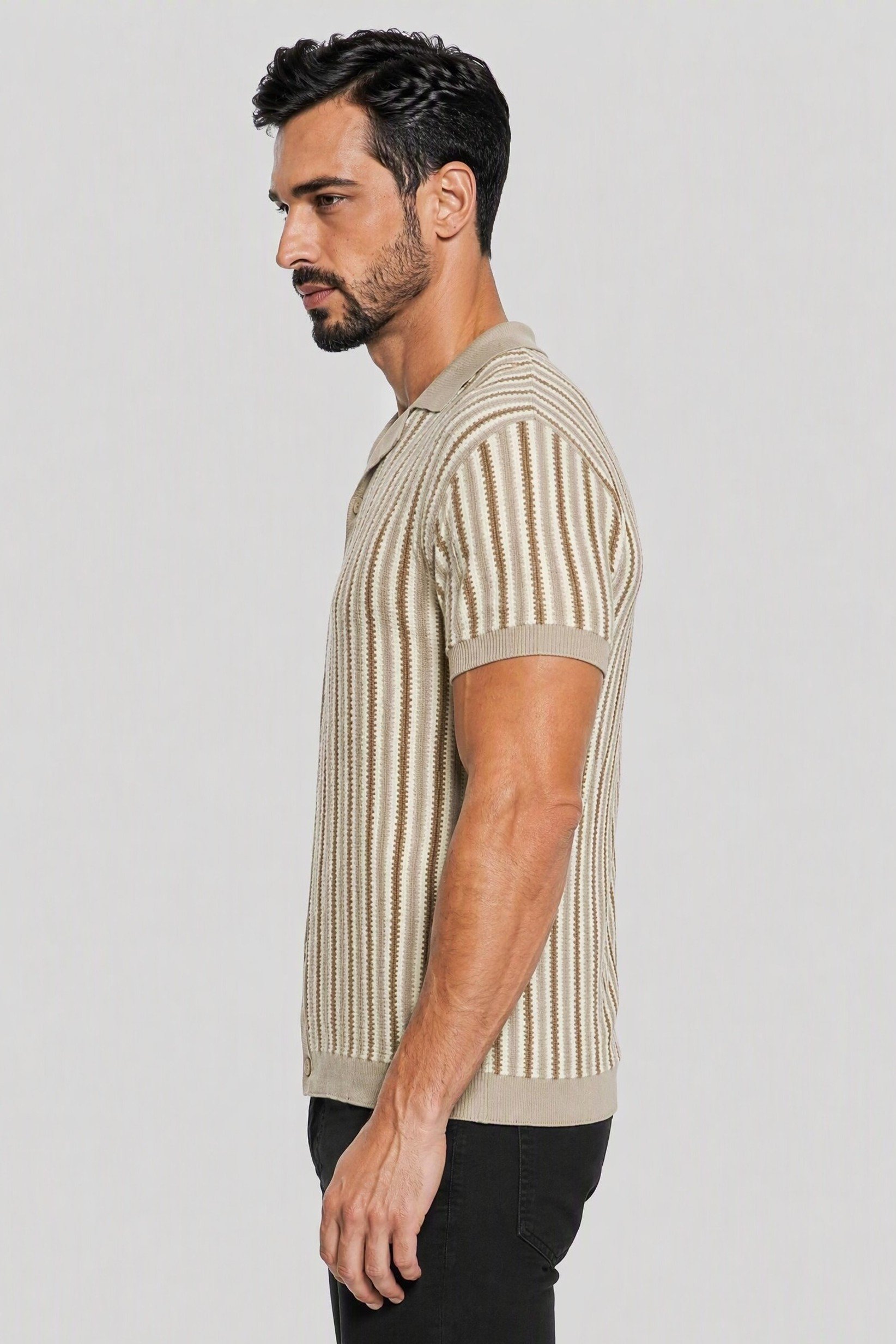 Men Regular Fit Short Sleeve Stripe Polo Shirt, Multicolor