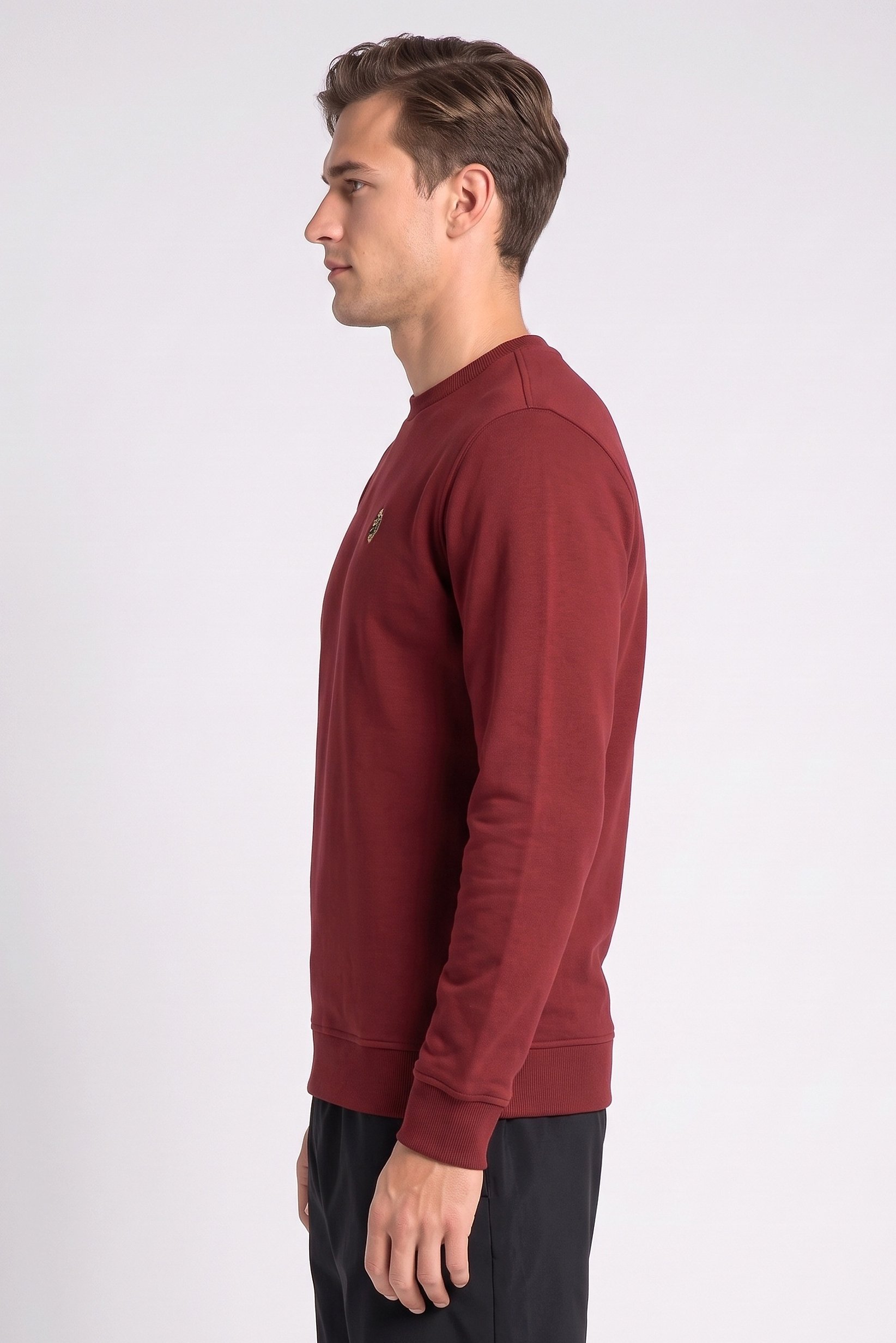 Men Sportswear Fit Long Sleeve Outdoor Sweatshirt, Maroon
