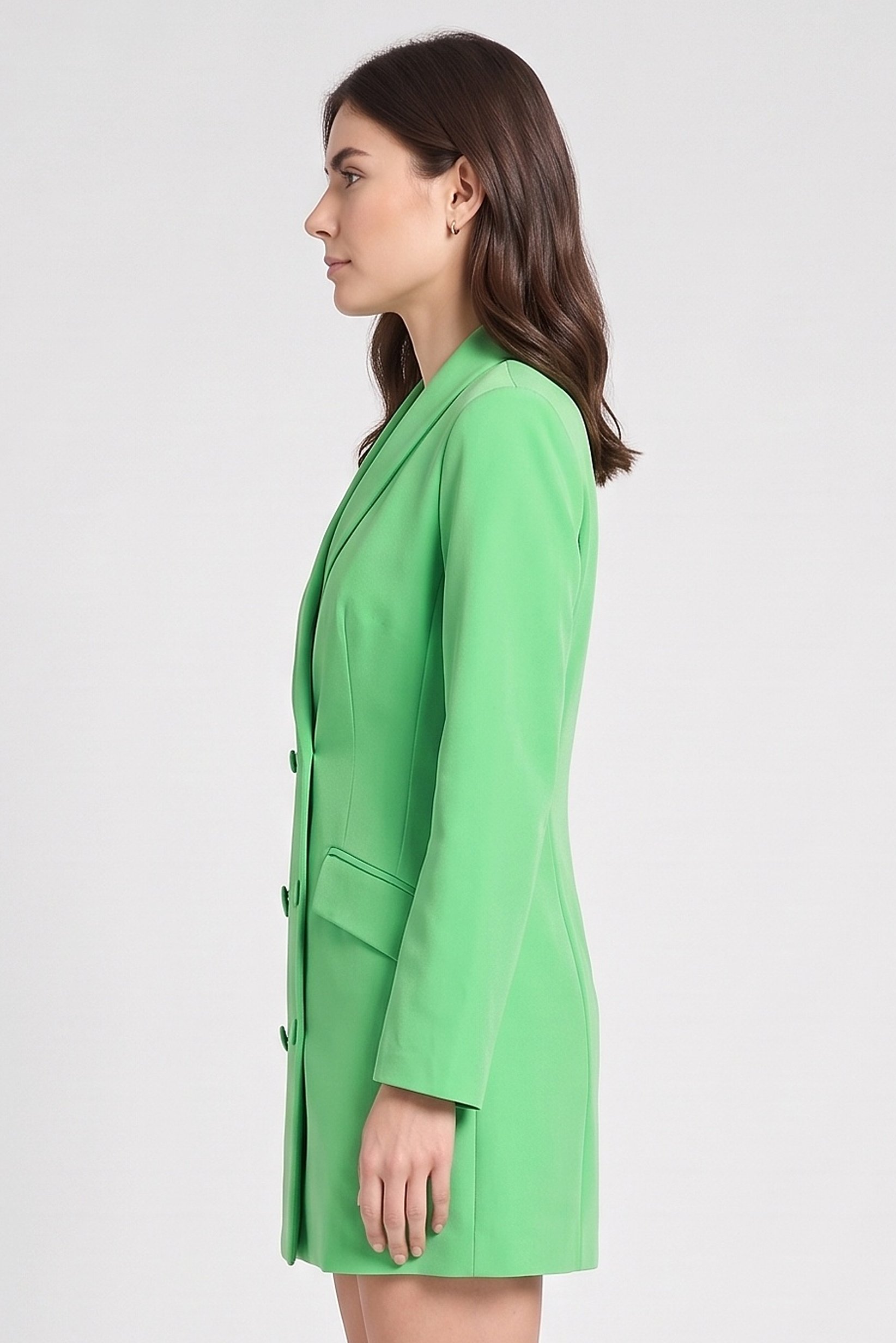 Women Solid Blazer Dress, Green