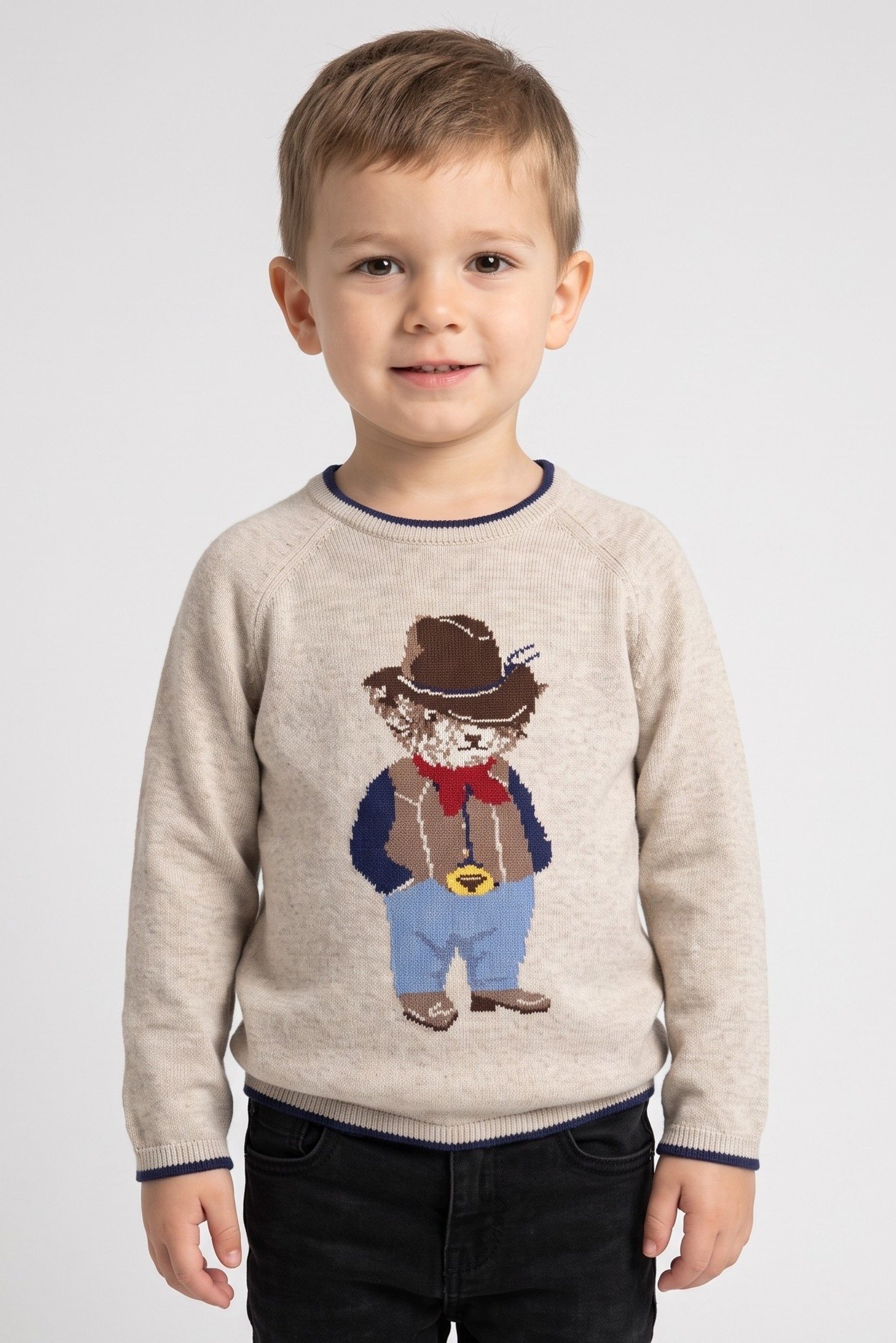 Toddlers Boy Long Sleeve Graphic Print Sweater, Beige