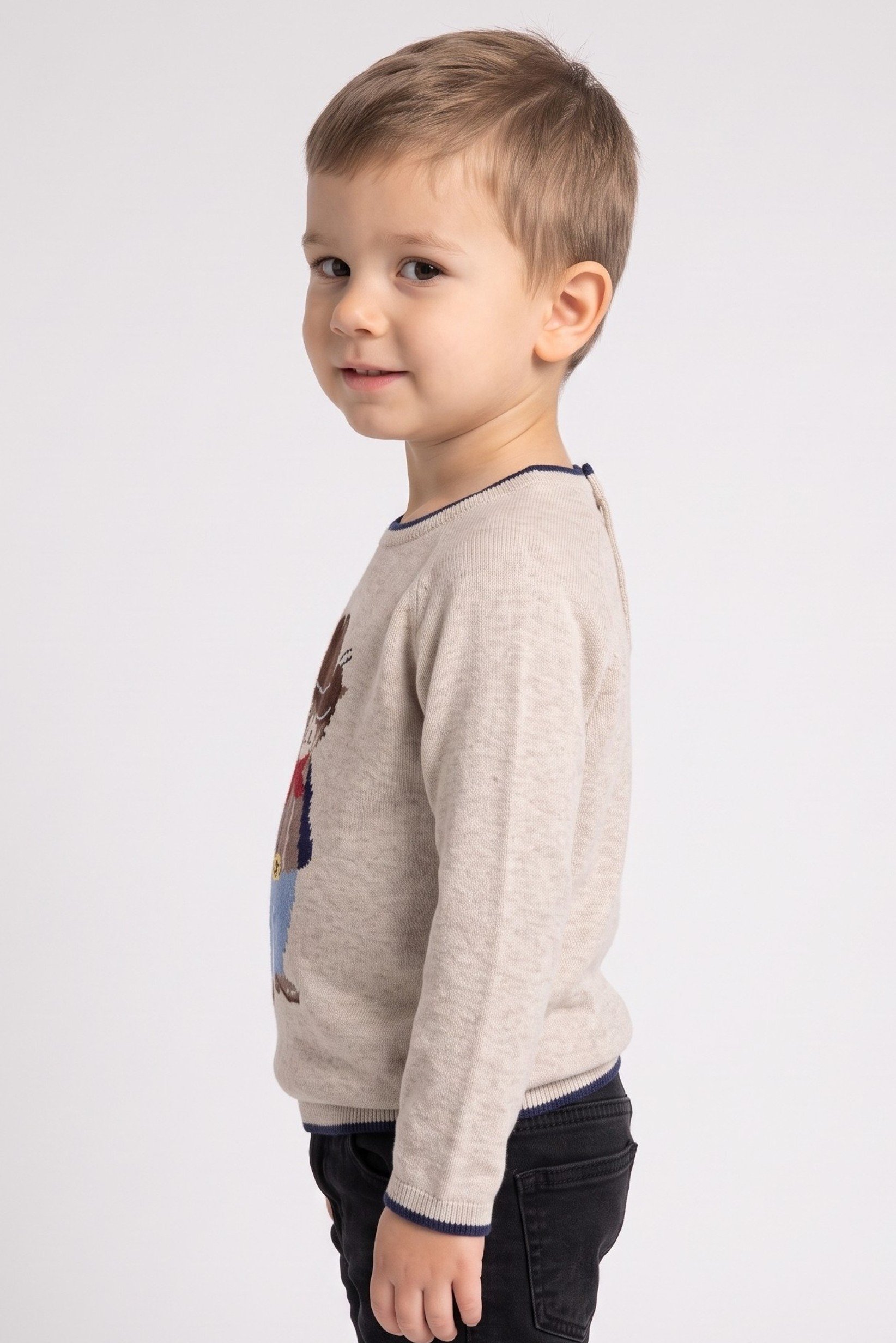 Toddlers Boy Long Sleeve Graphic Print Sweater, Beige