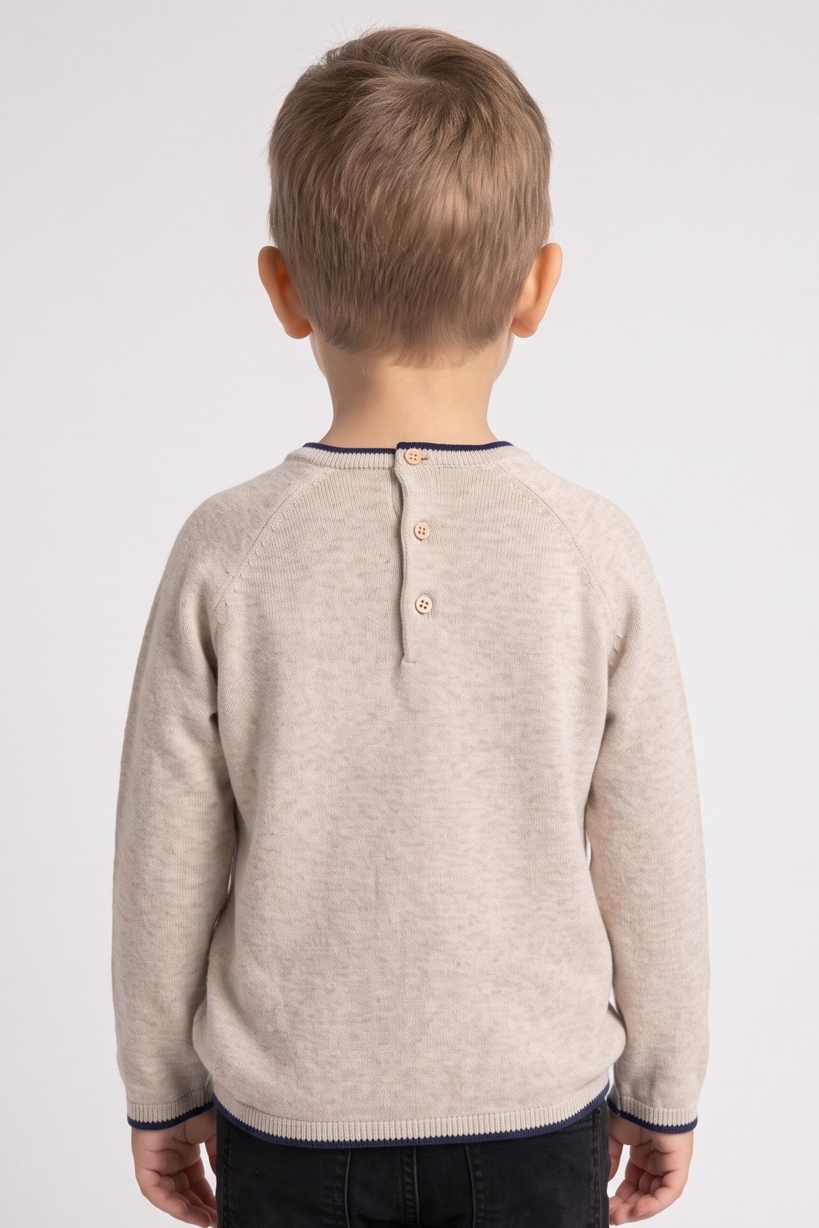 Toddlers Boy Long Sleeve Graphic Print Sweater, Beige