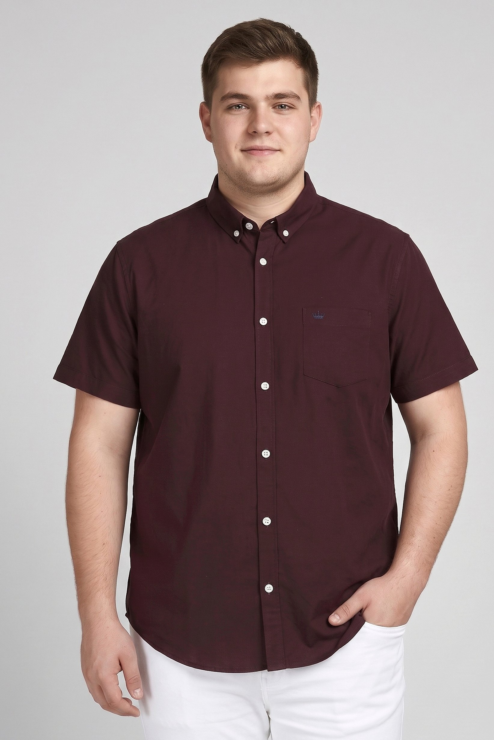 Men Regular Fit Embroidered Logo Short Sleeve Casual Shirt,  Burgundy