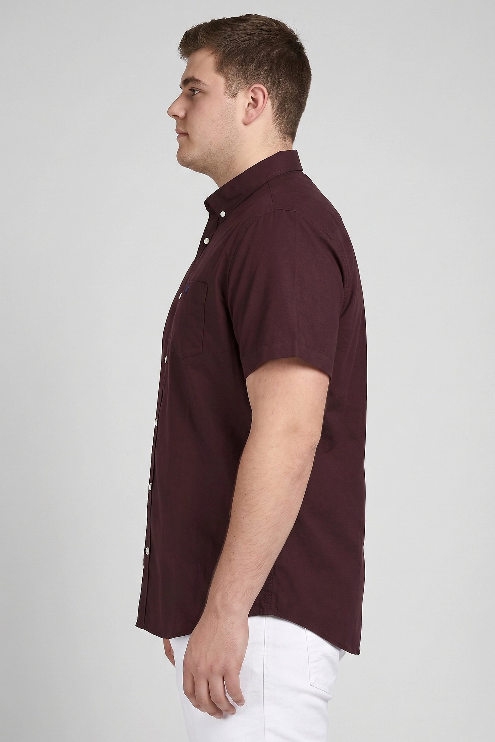 Men Regular Fit Embroidered Logo Short Sleeve Casual Shirt,  Burgundy
