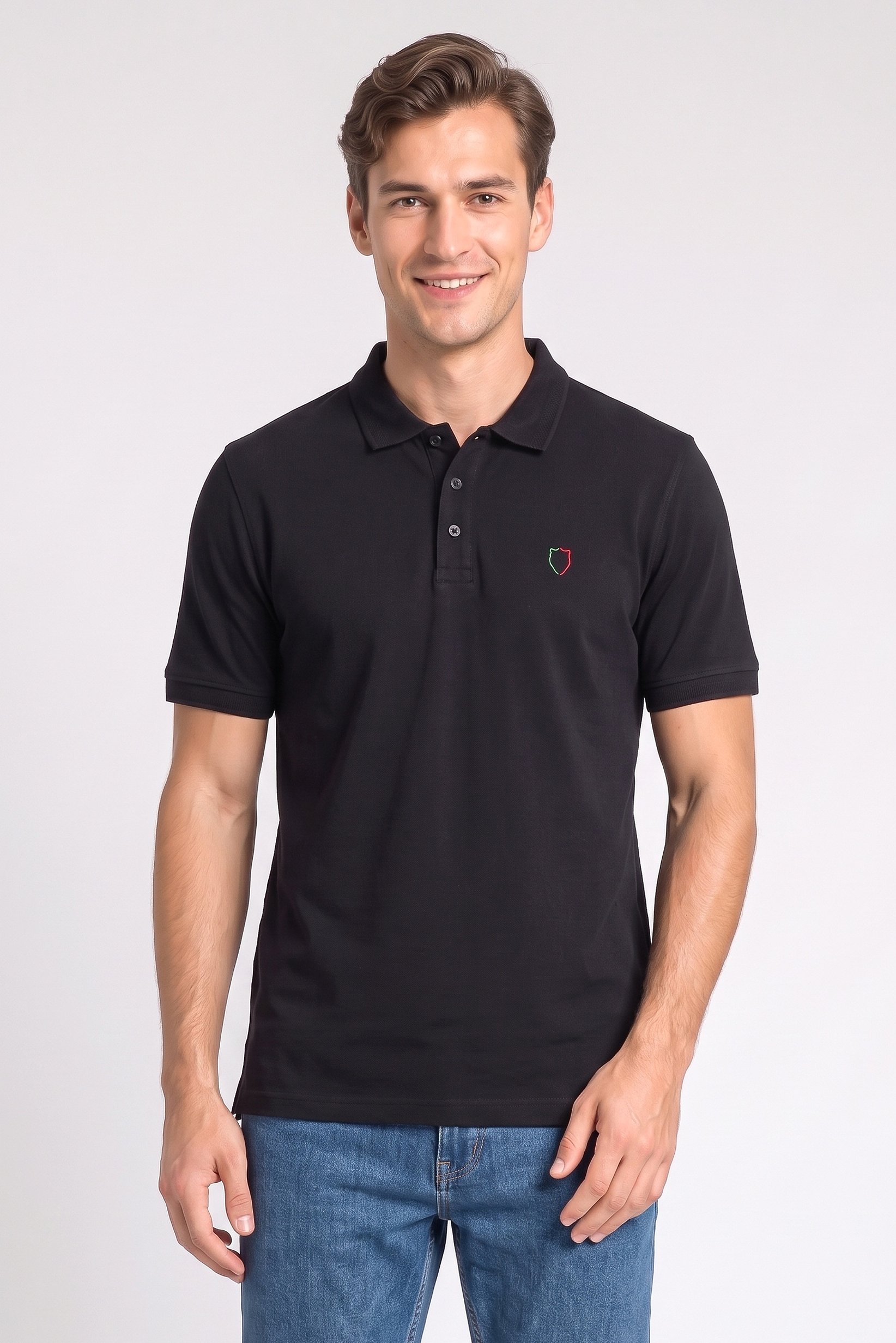 Men Regular Fit Embroidered Short Sleeve Polo Shirt, Black