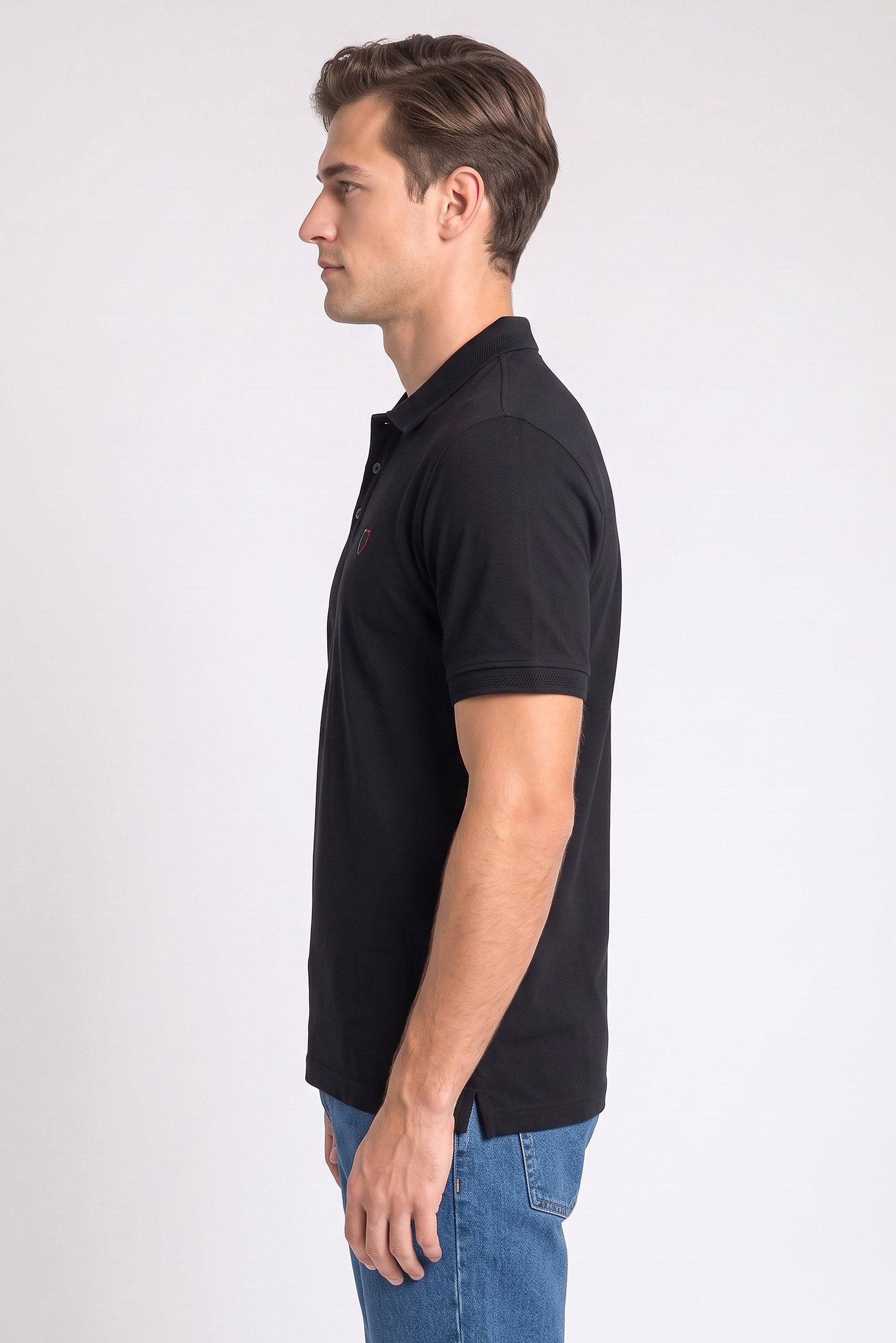 Men Regular Fit Embroidered Short Sleeve Polo Shirt, Black