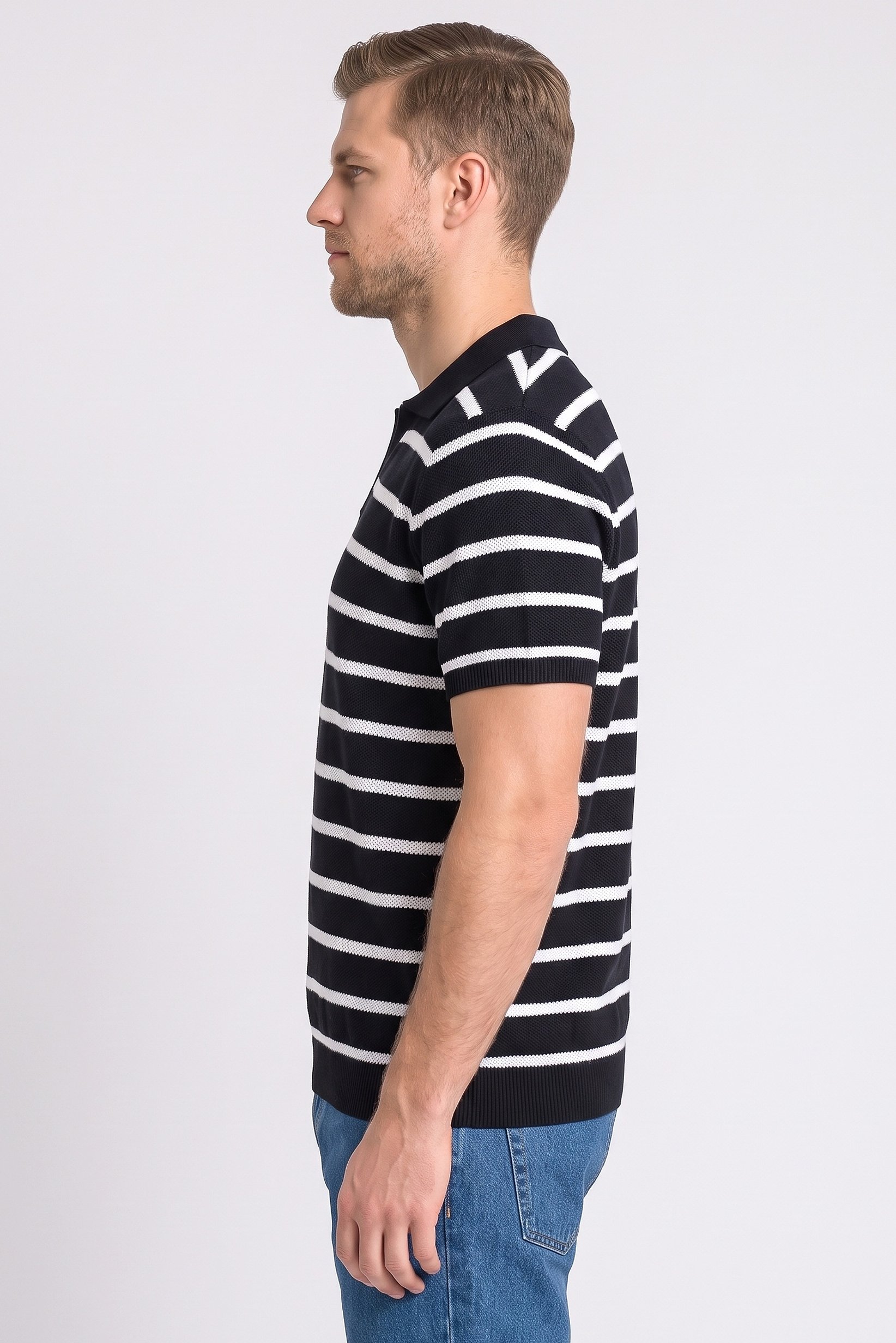 Men Regular Fit Stripe Short Sleeve Polo Shirt, Multicolor