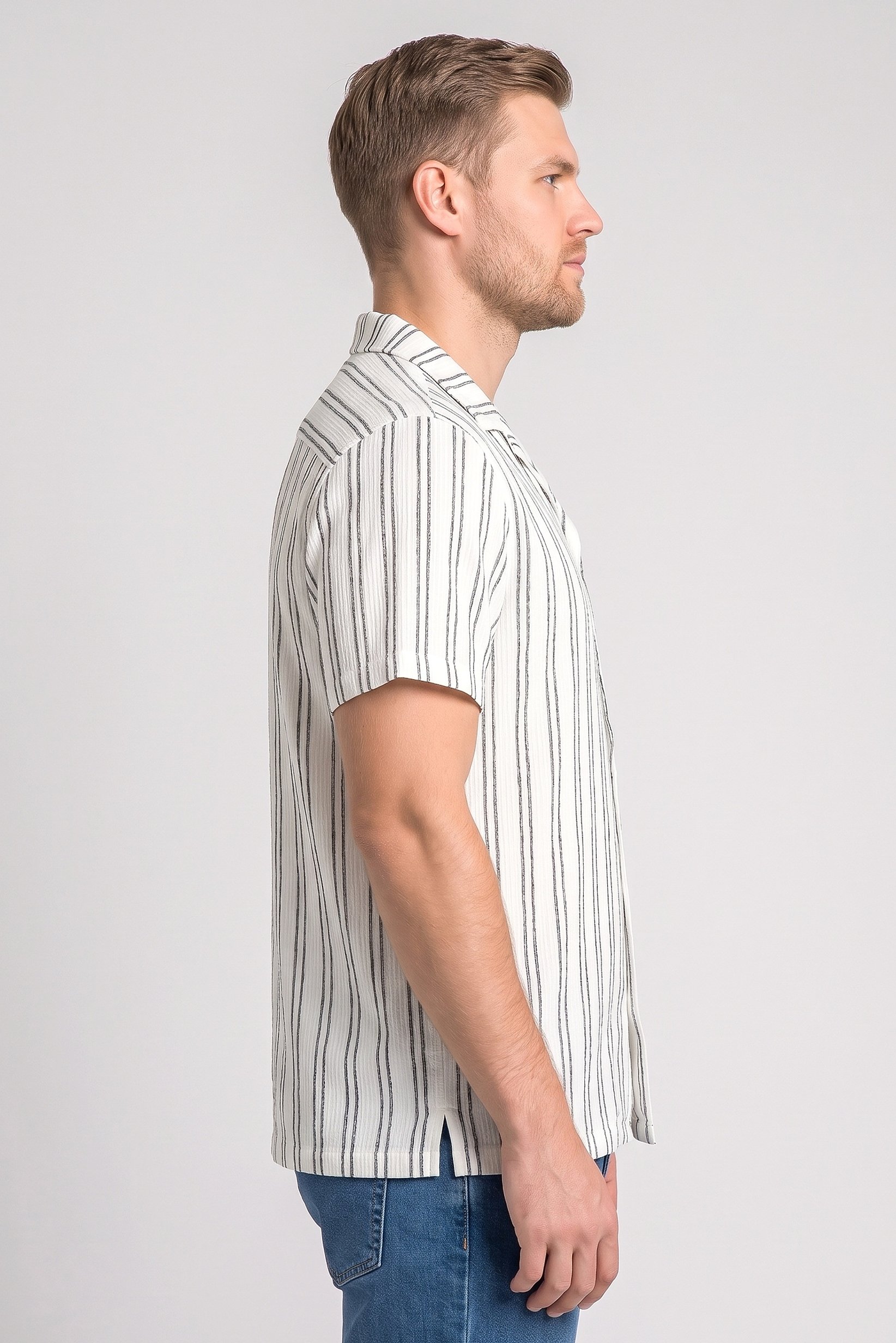 Men Regular Fit Short Sleeve Stripe Casual Shirt, Multicolor