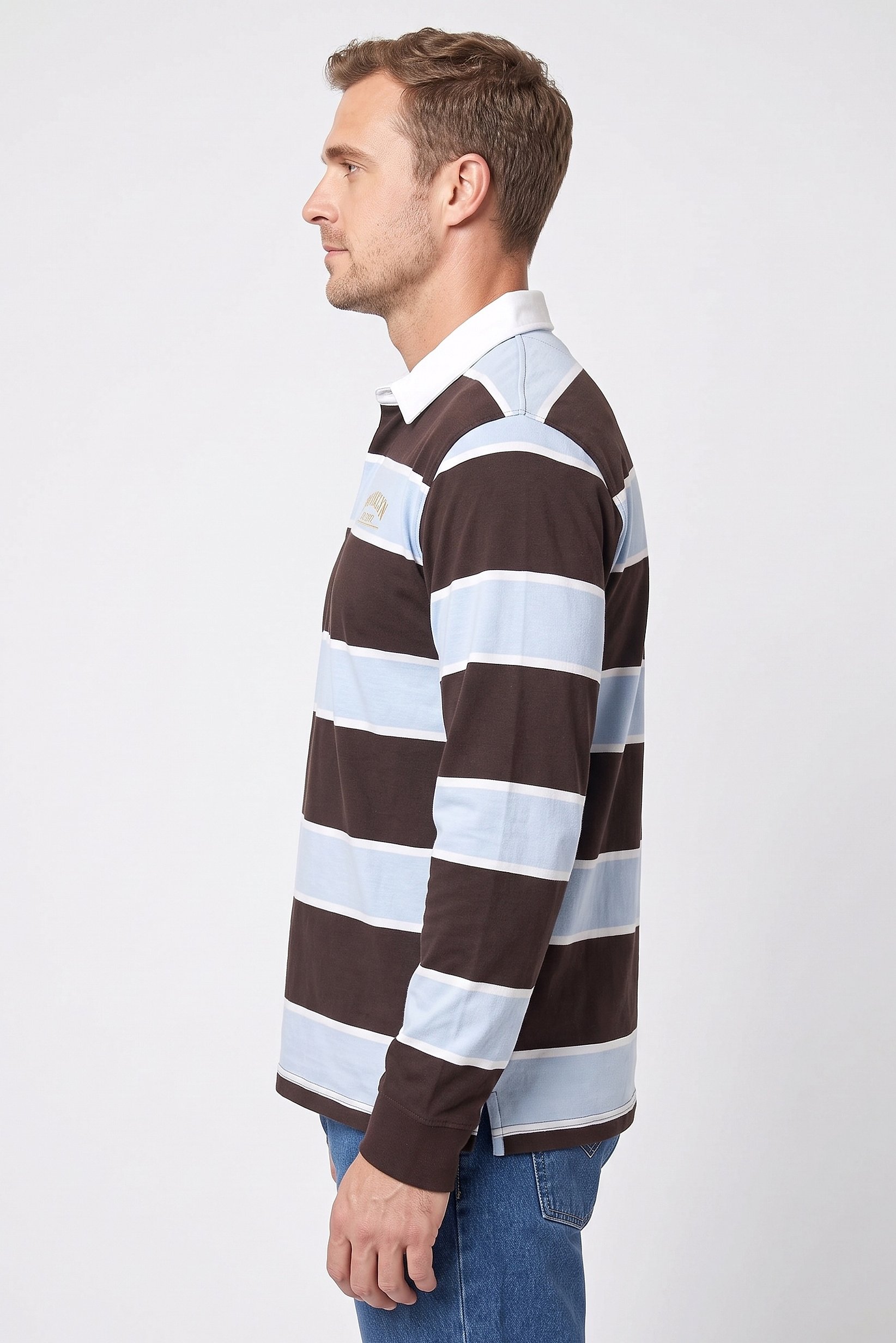 Men Regular Fit Long Sleeve Stripe Polo Shirt, Multicolor